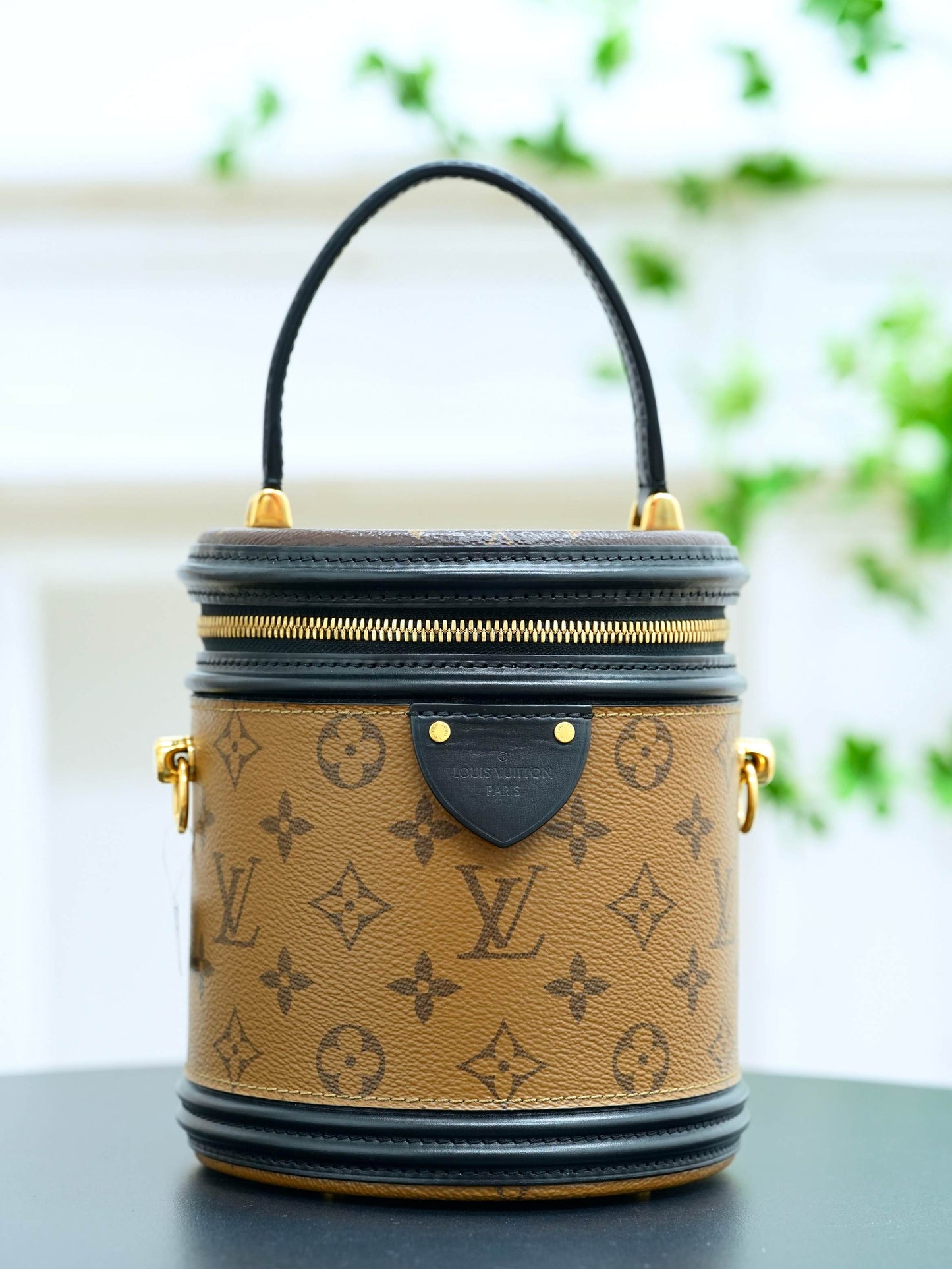 Louis Vuitton Cannes M43986 Hand Bag