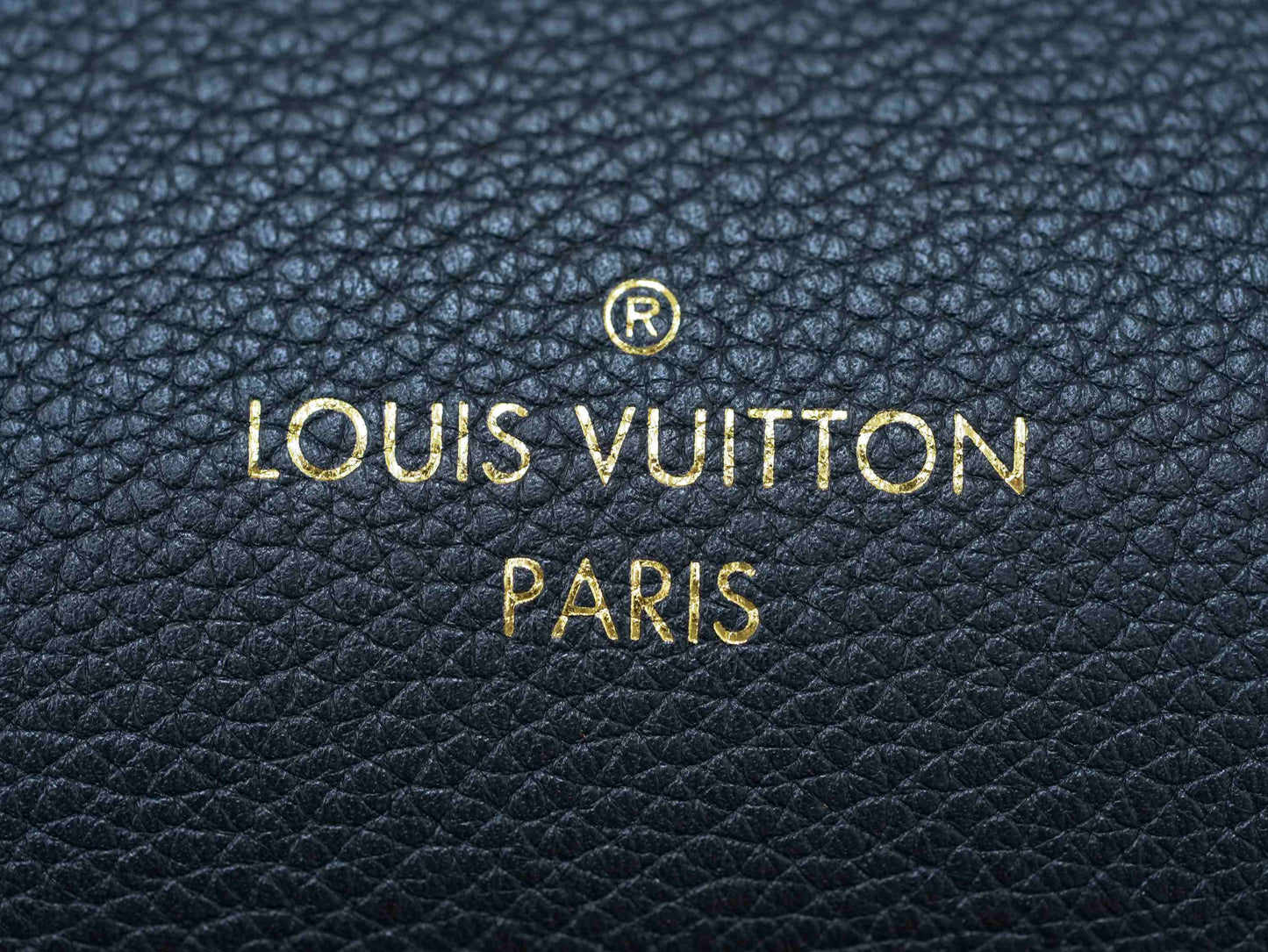 Louis Vuitton lock&go Handbag