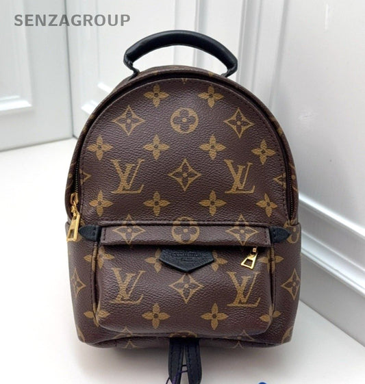 Louis Vuitton Palm Springs Monogram Backpack Women Brown