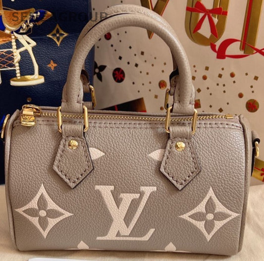 Louis Vuitton Speedy NANO Elephant Gray Handbag 2WAY Crossbody Almost Brand NEW