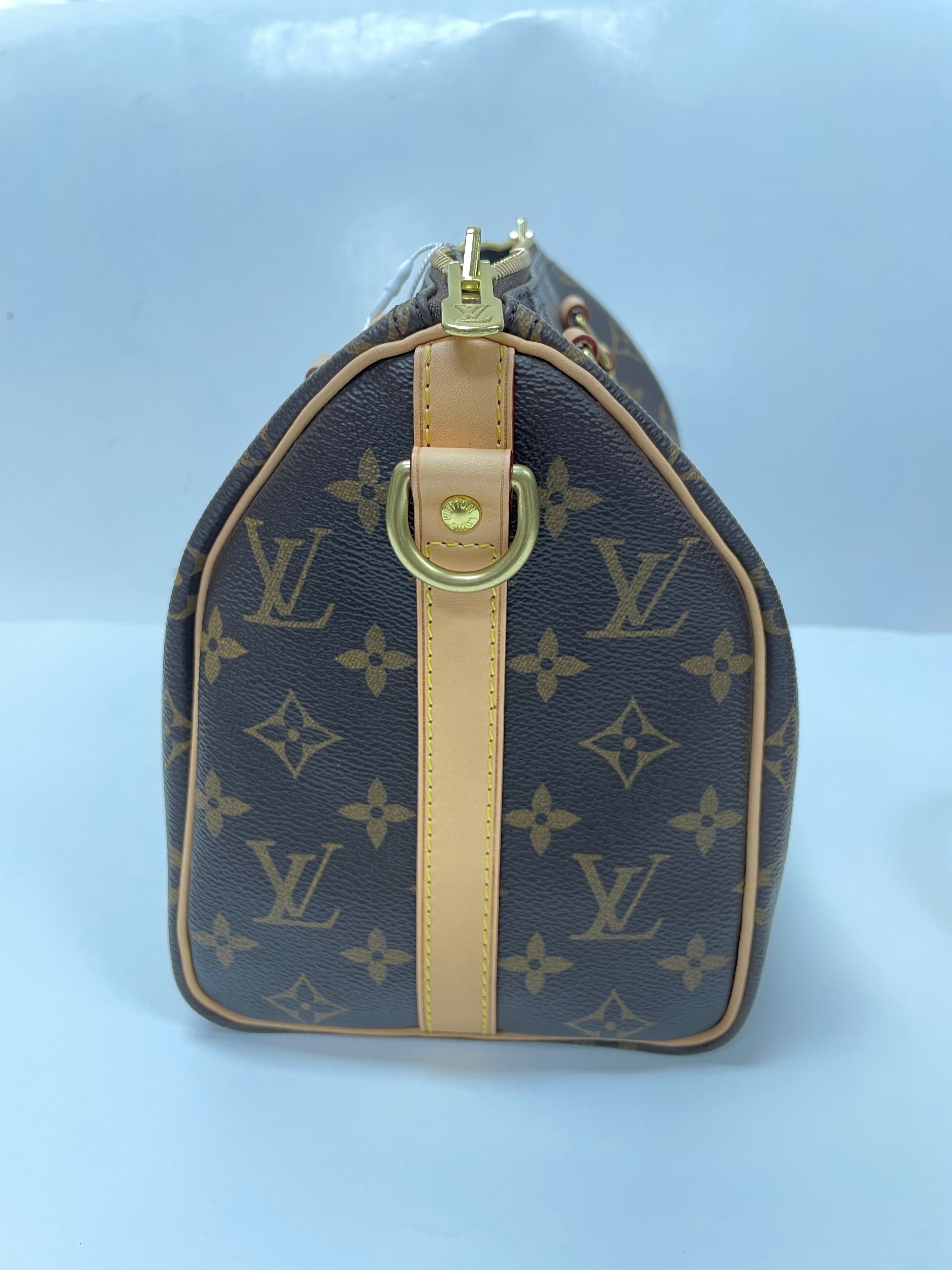 Pre-owned Louis Vuitton canvas Top handle bags Speedy25 with Shoulder Straps
