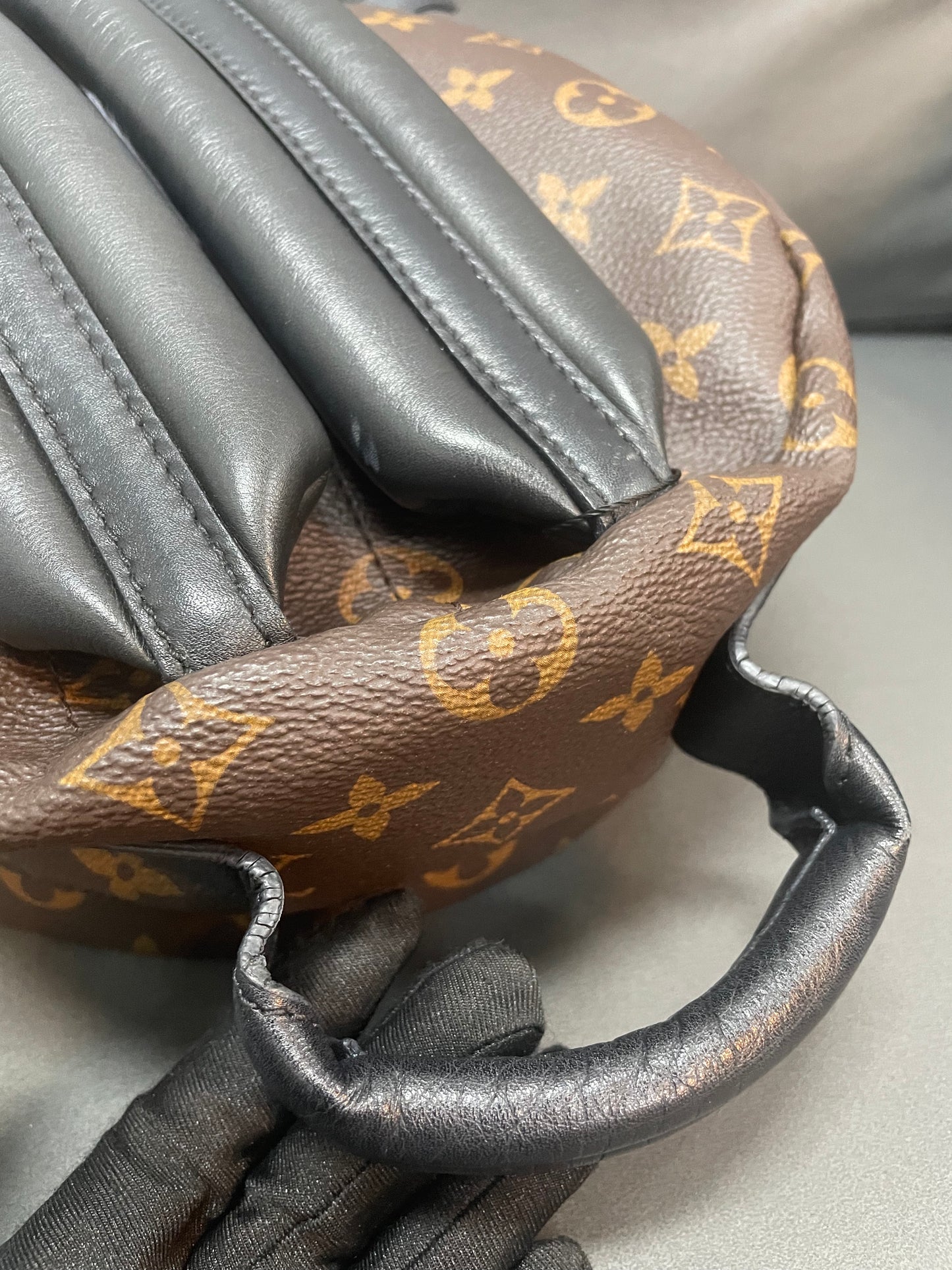 Louis Vuitton spring palm PM backpack