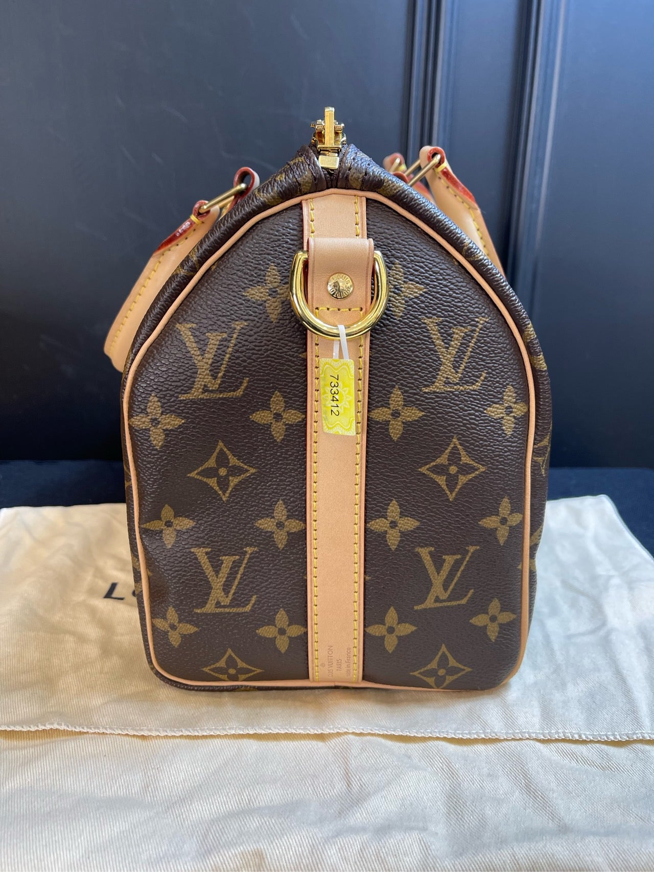 Louis Vuitton Monogram Speedy Bandoulière 25 - Microchip Version