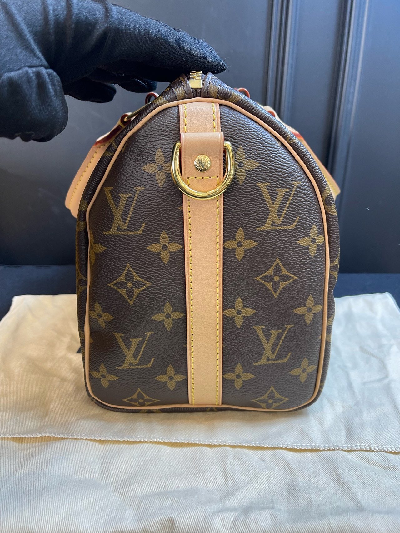 Louis Vuitton Monogram Speedy Bandoulière 25 - Microchip Version