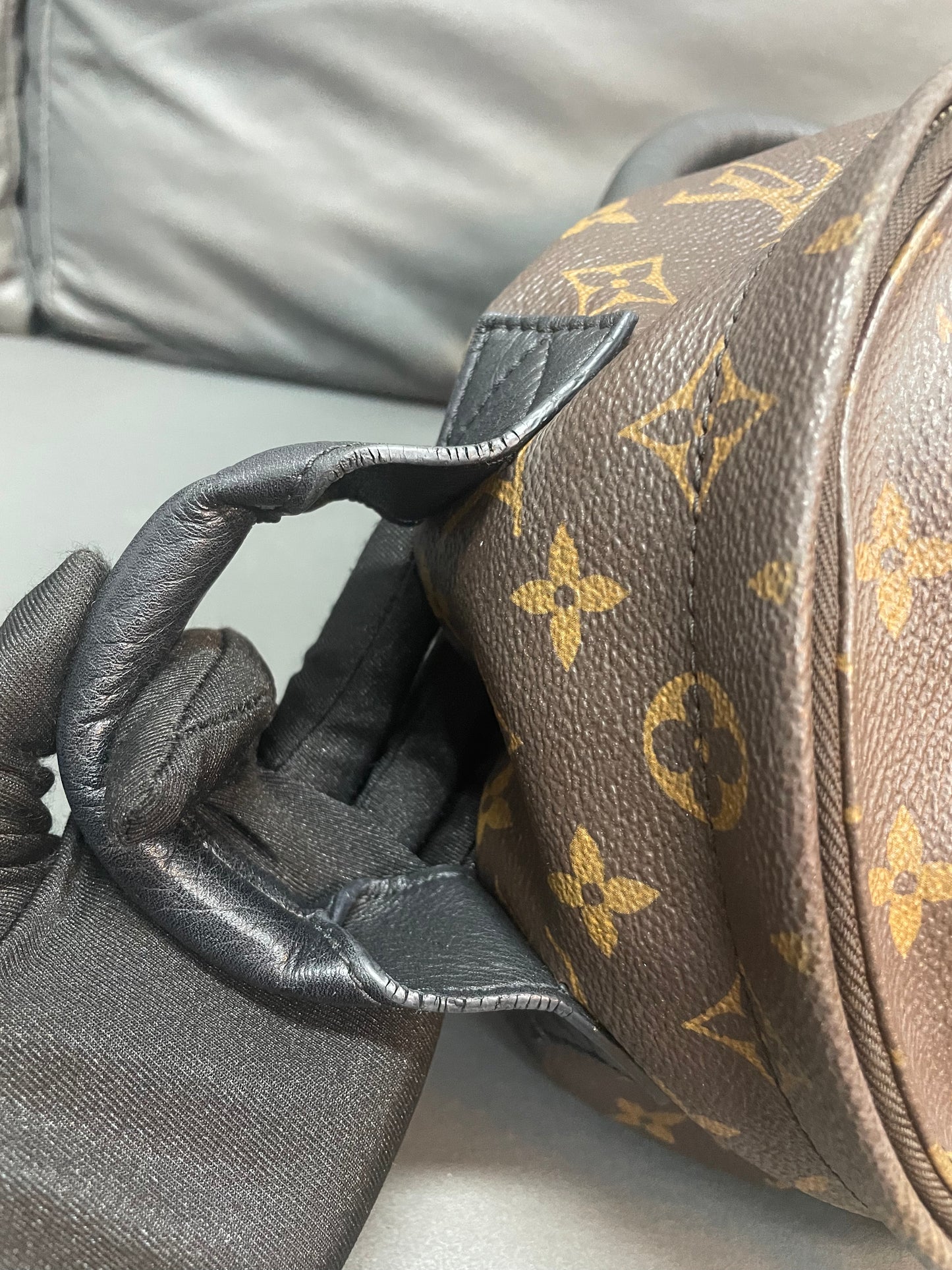 Louis Vuitton spring palm PM backpack