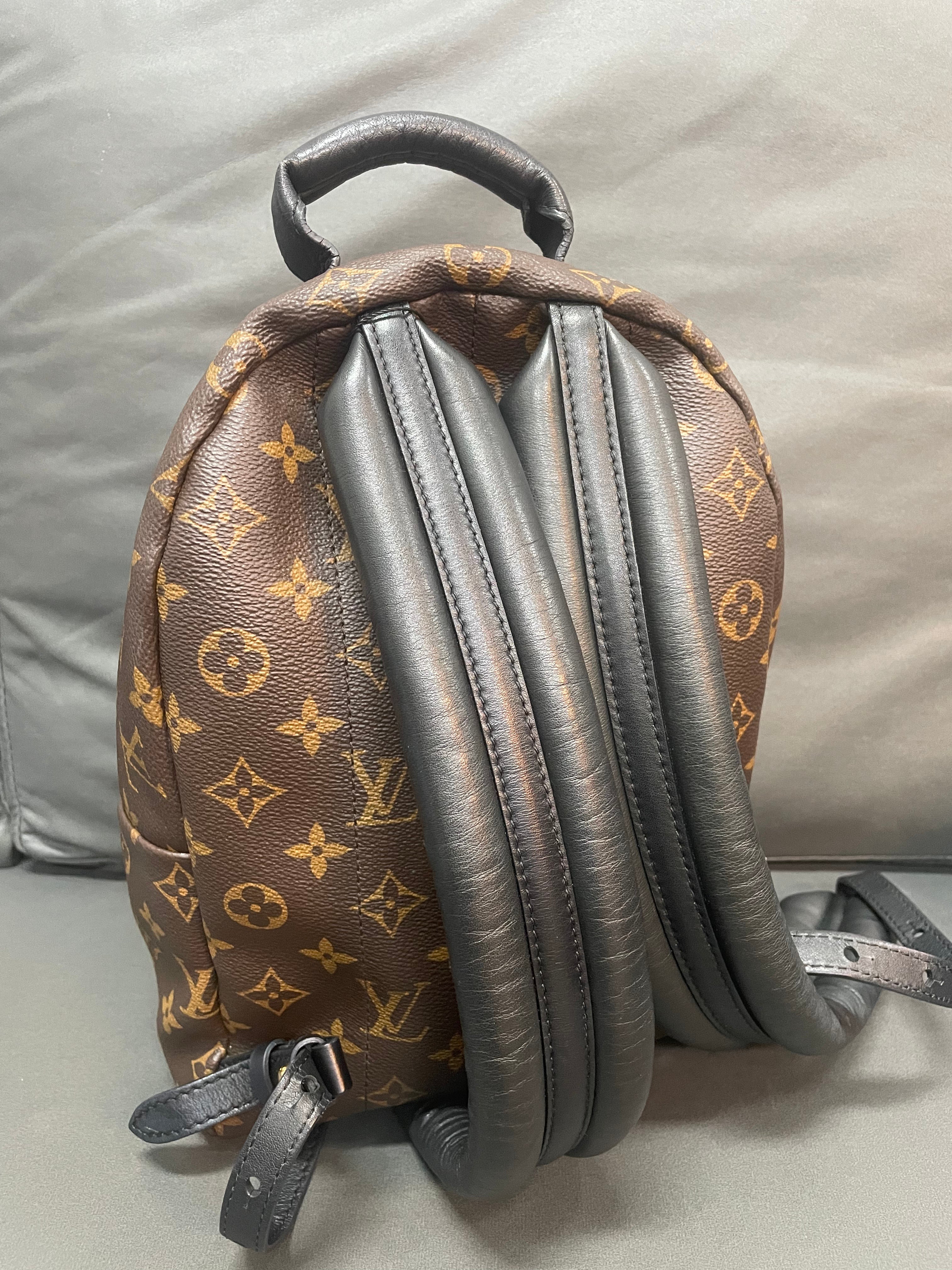 Louis Vuitton spring palm PM backpack - Pre-Owned