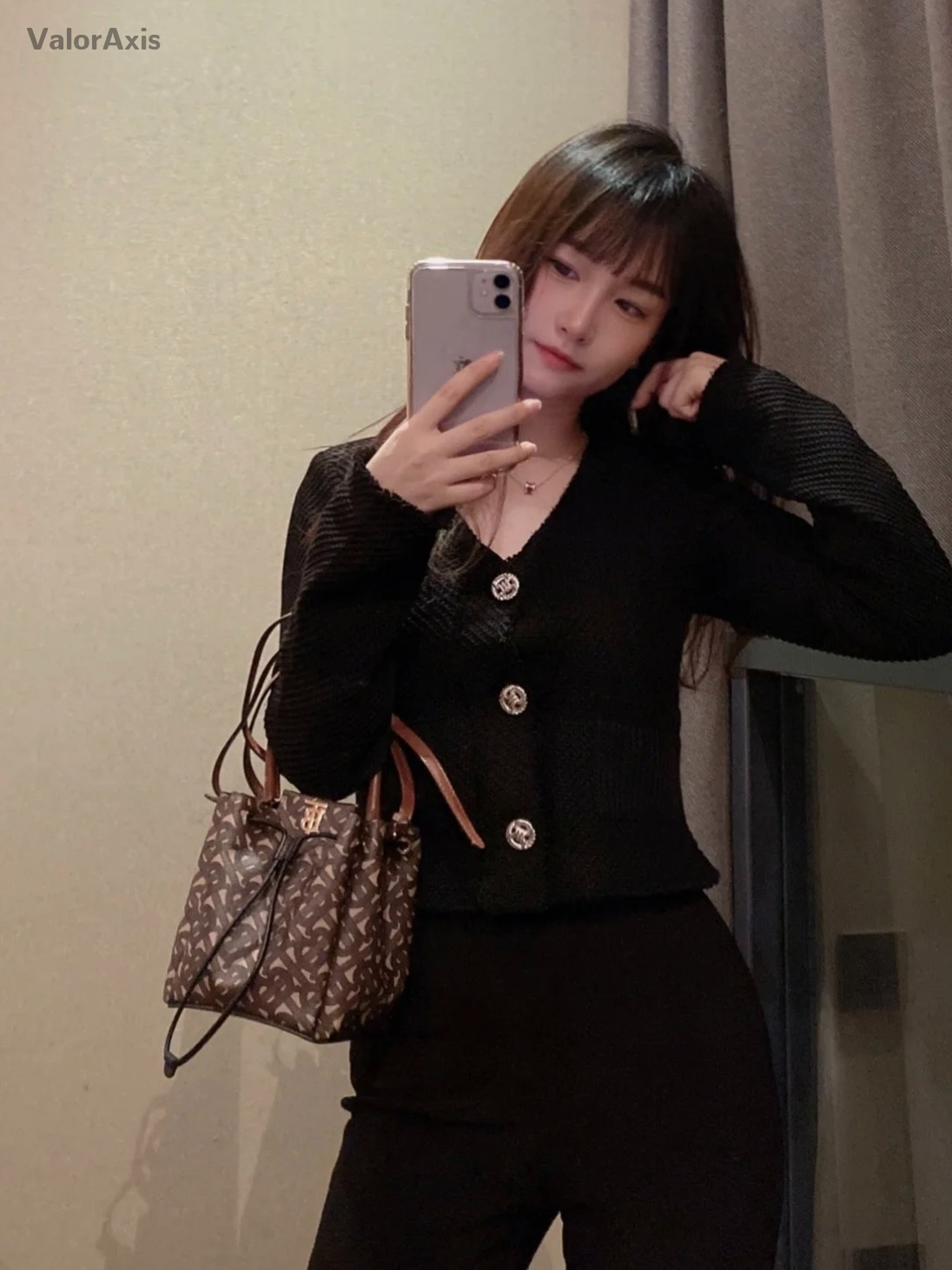 Burberry Monogram Top Handle Bucket 2way Shoulder Handbag Women Brown