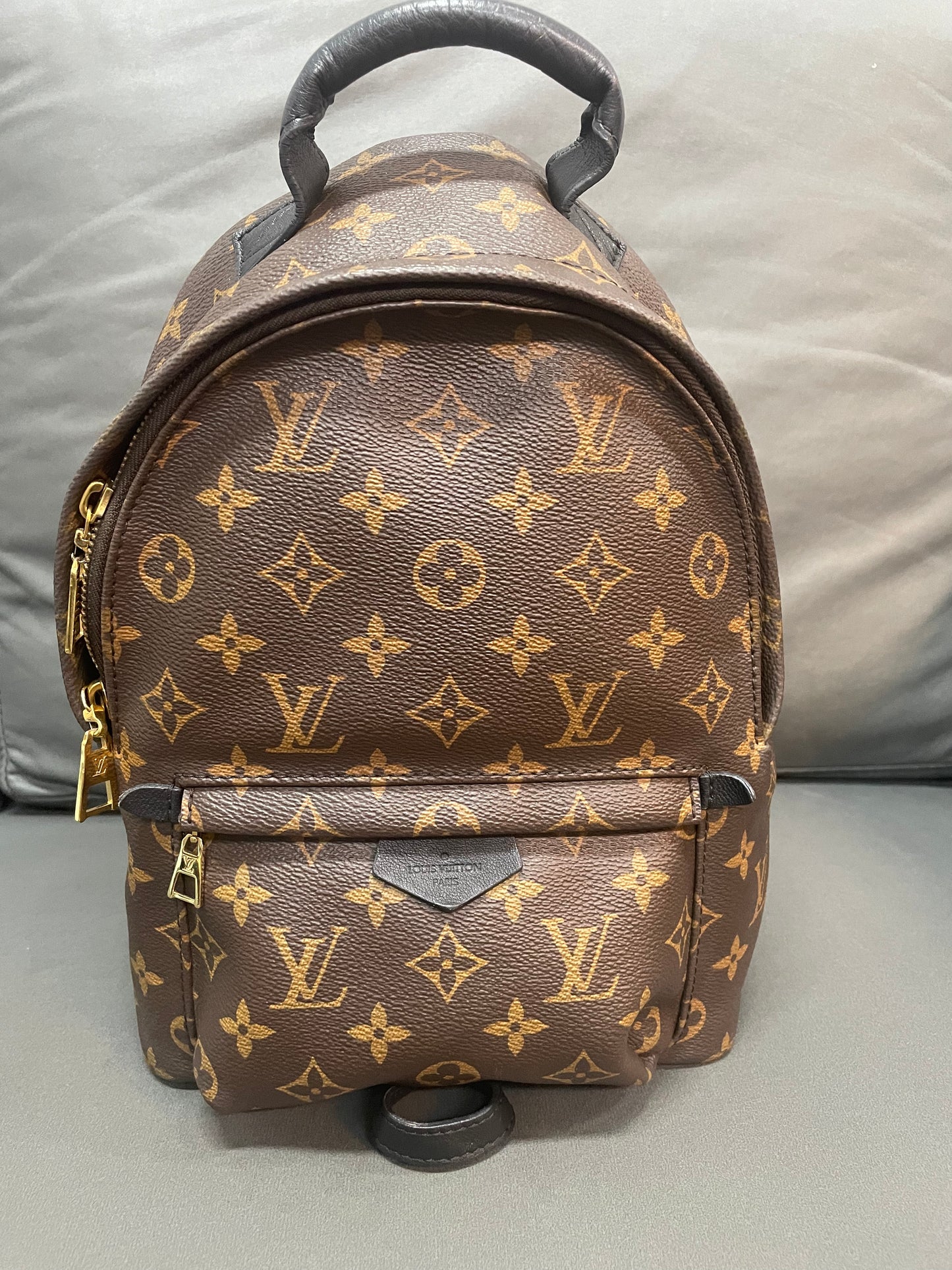 Louis Vuitton spring palm PM backpack