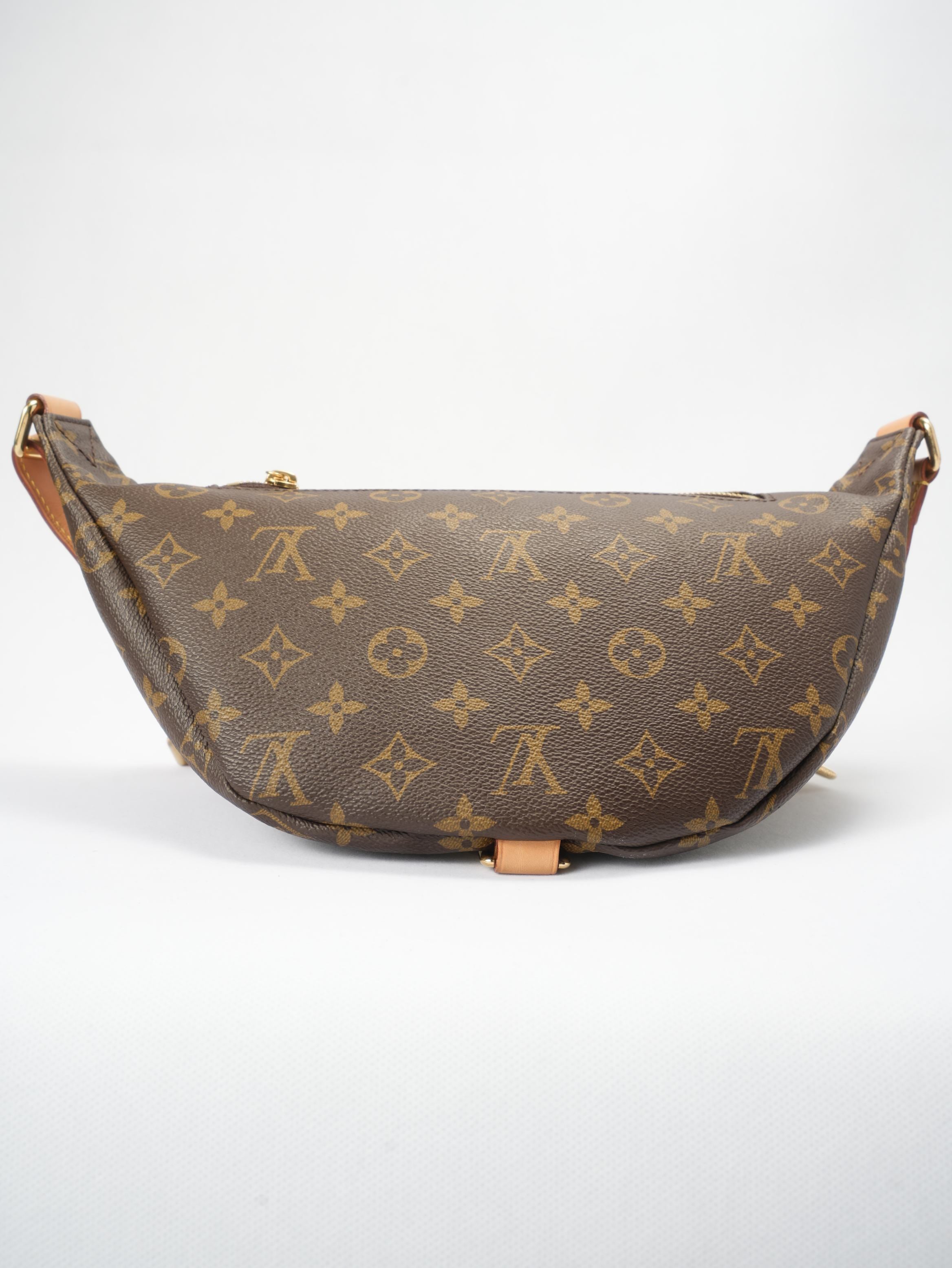 Louis Vuitton Bumbag Monogram Canvas Belt Bag - Brown, Pre-Owned