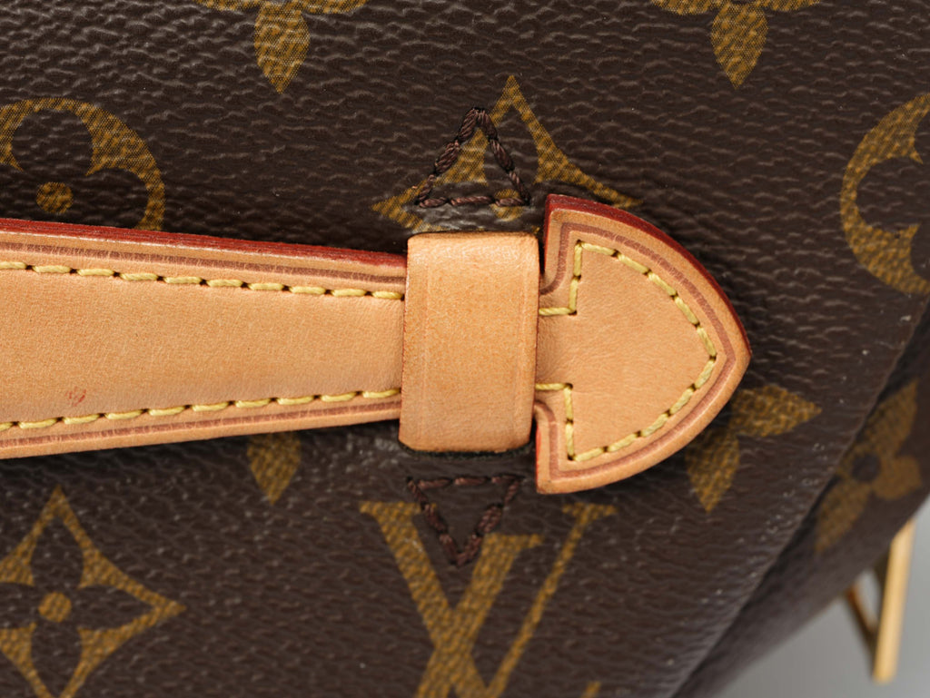 Louis Vuitton Bumbag Monogram Canvas Belt Bag - Brown, Pre-Owned