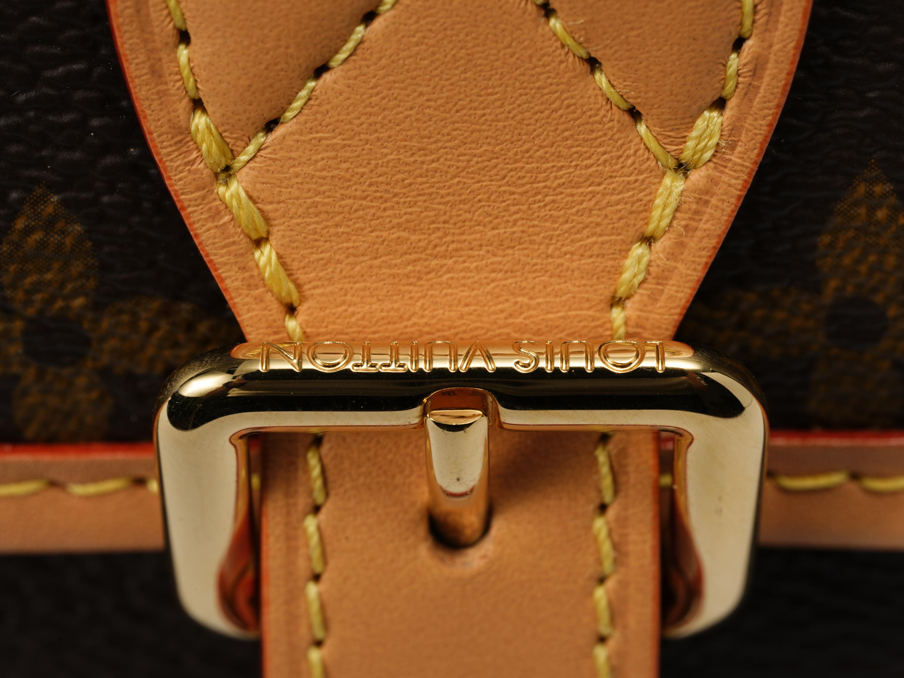 Louis Vuitton | Monogram Nano Diane M83298 Chip Version - Pre-owned | Authentic Pre-Owned Luxury