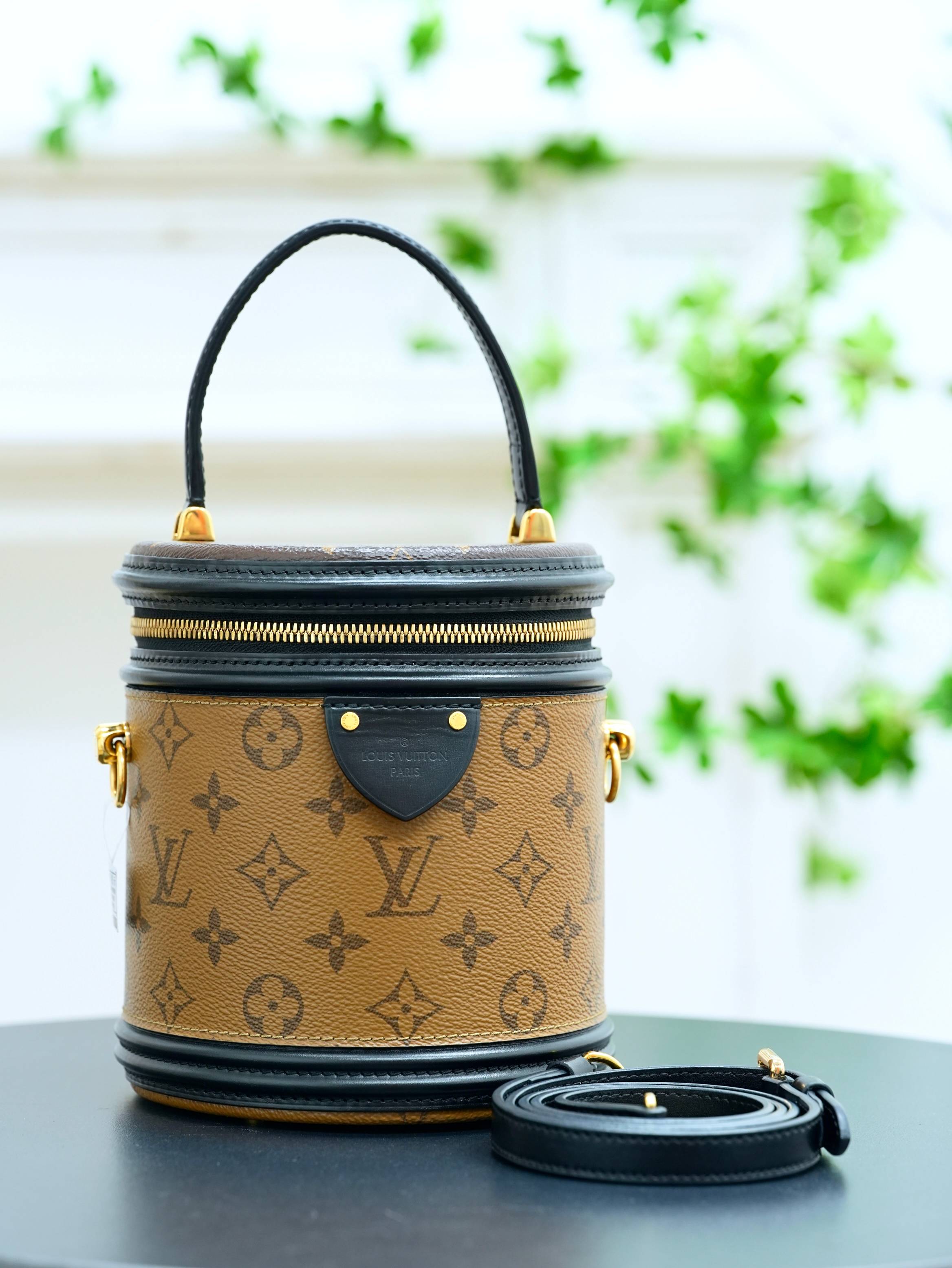 Louis Vuitton | Cannes M43986 Hand Bag - Pre-owned | Authentic Pre-Owned Luxury