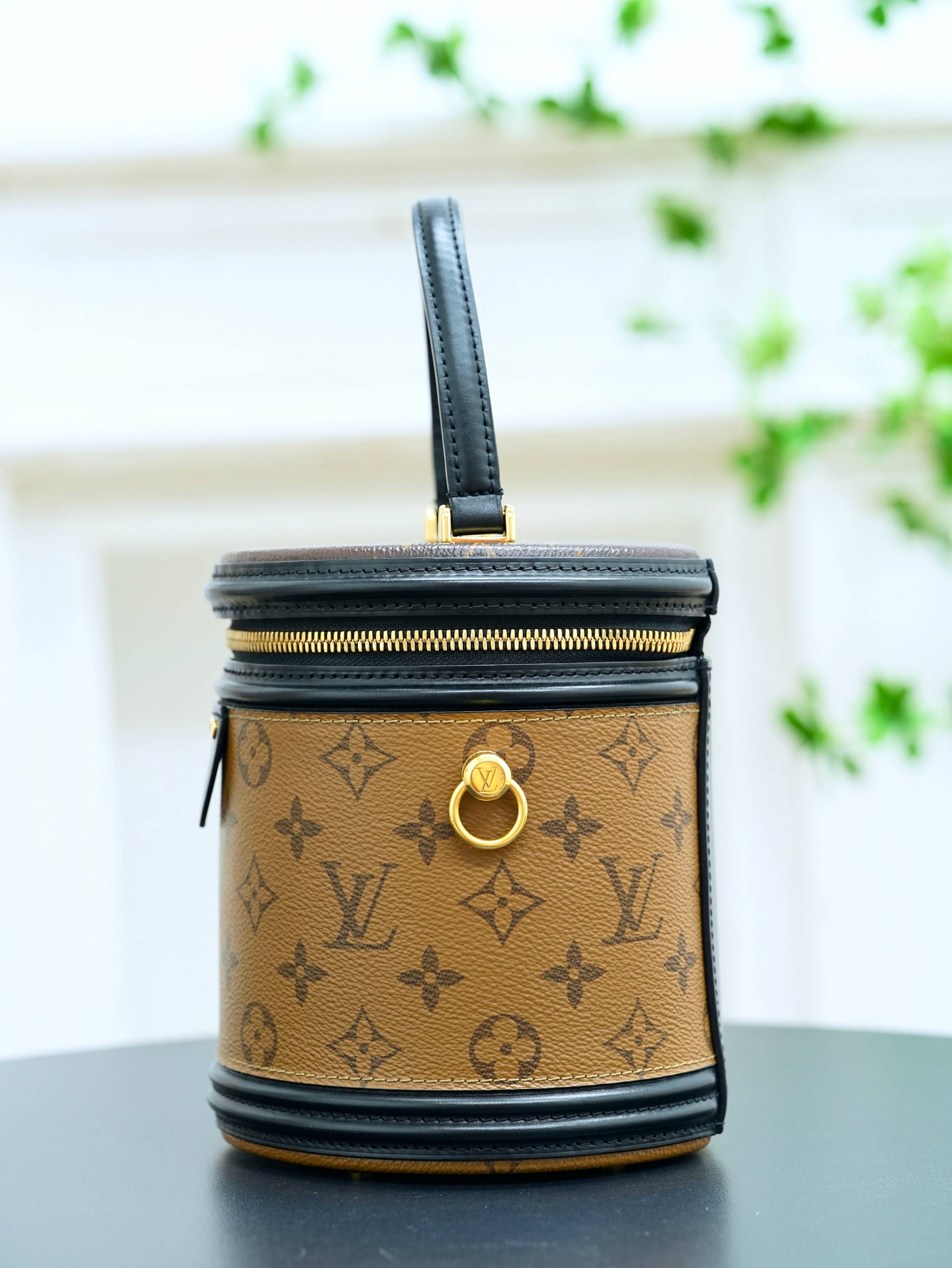 Louis Vuitton | Cannes M43986 Hand Bag - Pre-owned | Authentic Pre-Owned Luxury