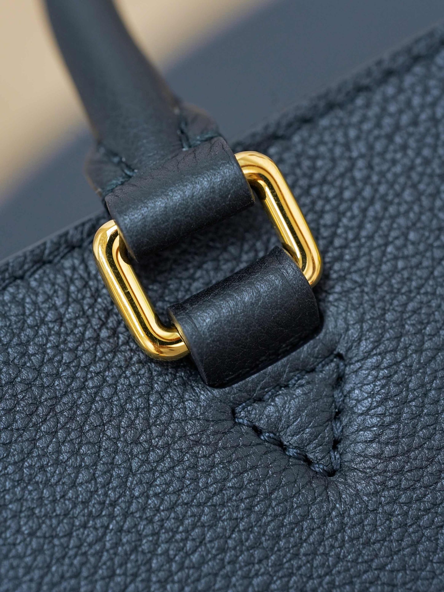 Louis Vuitton lock&go Handbag