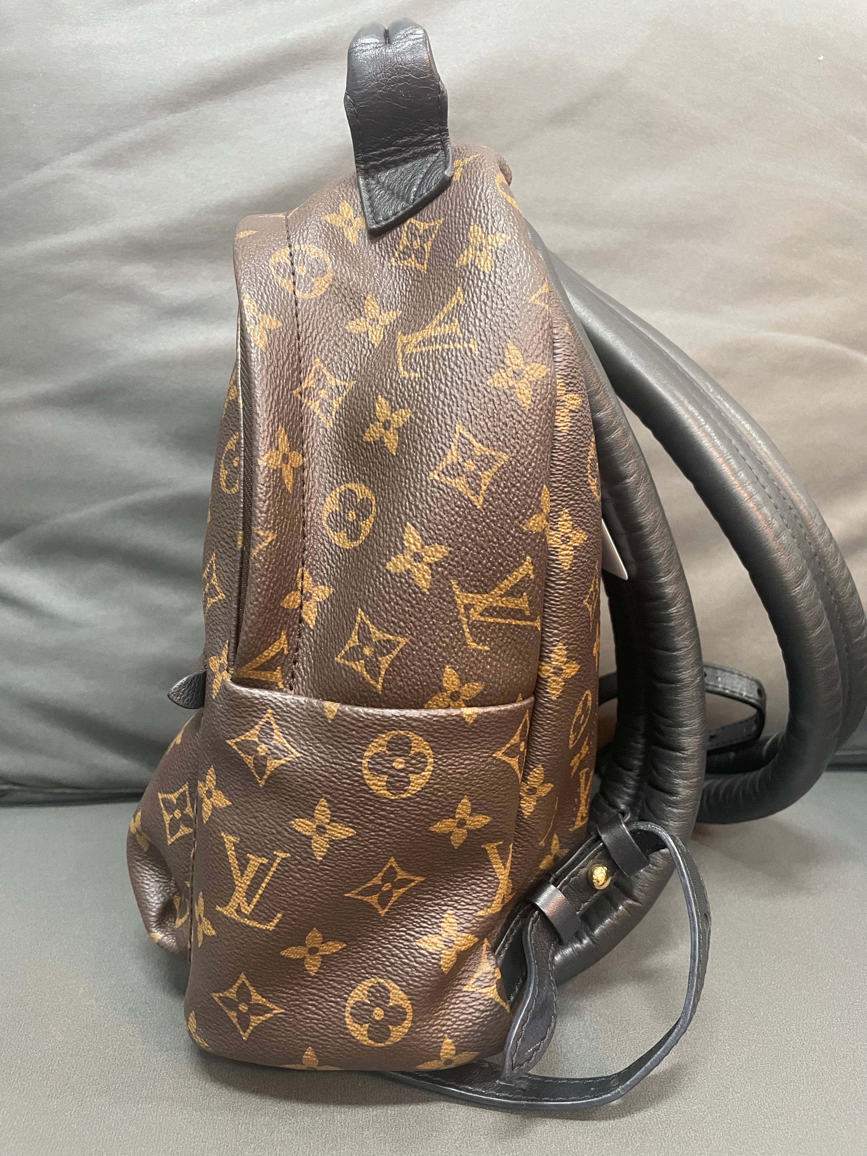 Louis Vuitton spring palm PM backpack - Pre-Owned