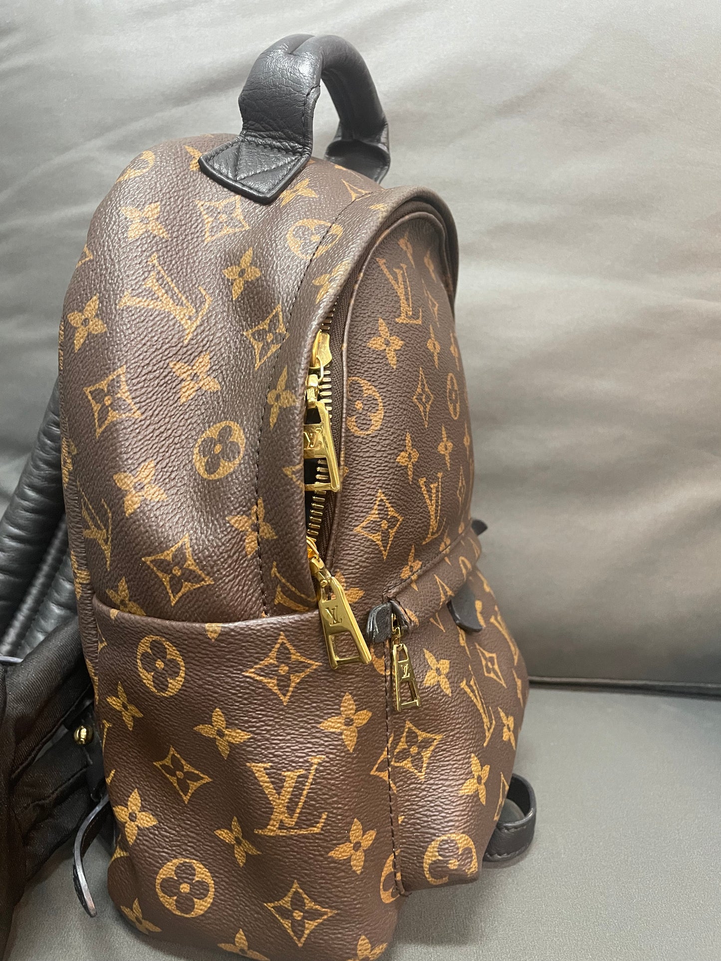 Louis Vuitton spring palm PM backpack