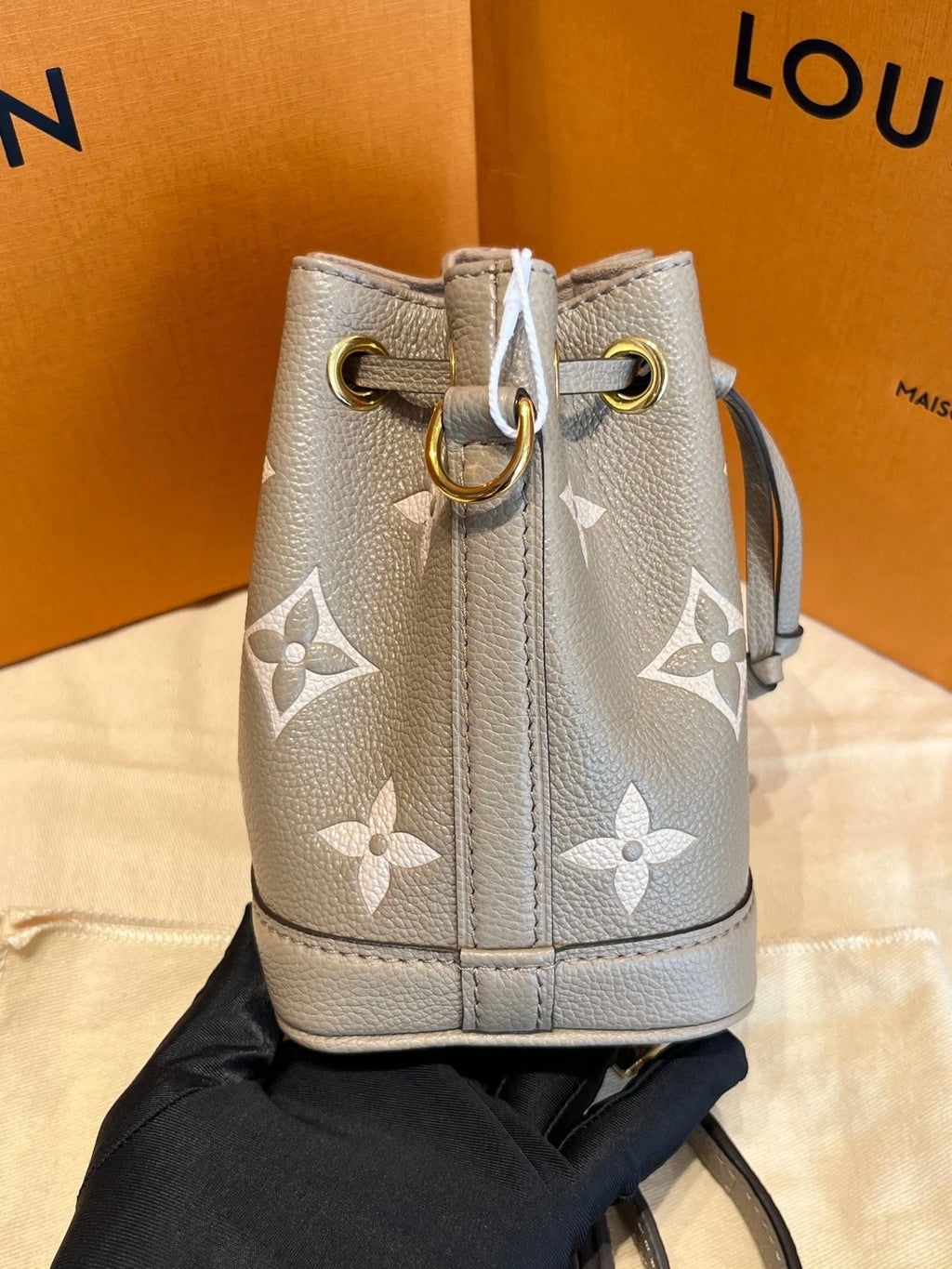 Louis Vuitton Canvas Nano Noe Gray Bucket Crossbody Bag For Women