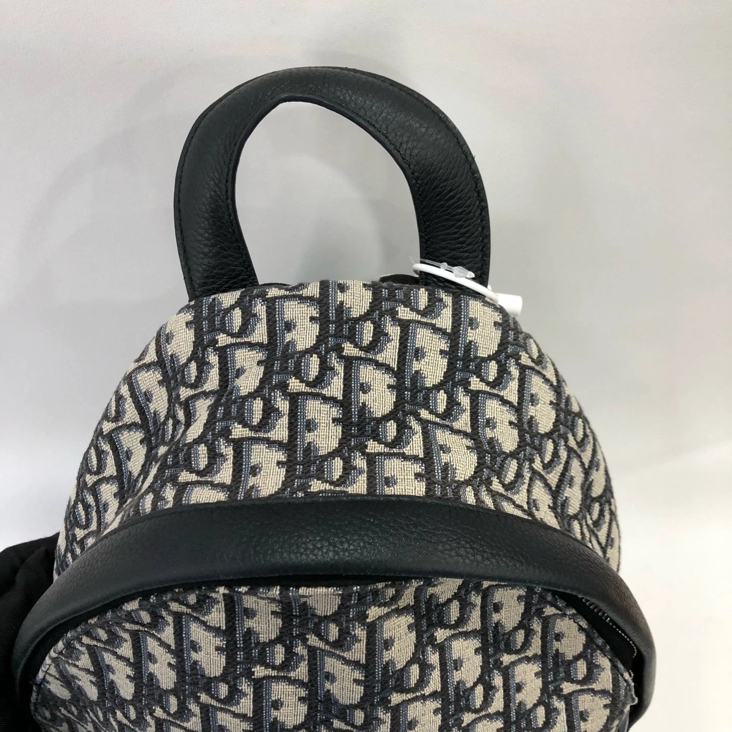 Dior Rider Monogram Canvas Backpack For Women
