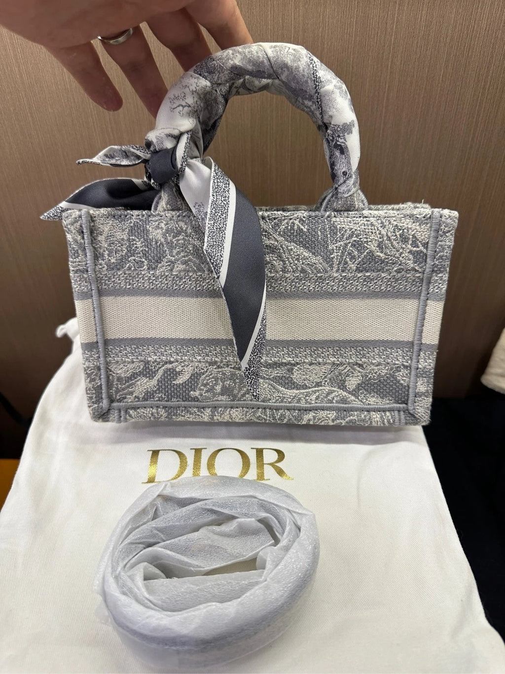 New Canvas Dior Mini Book Tote Bag For Women