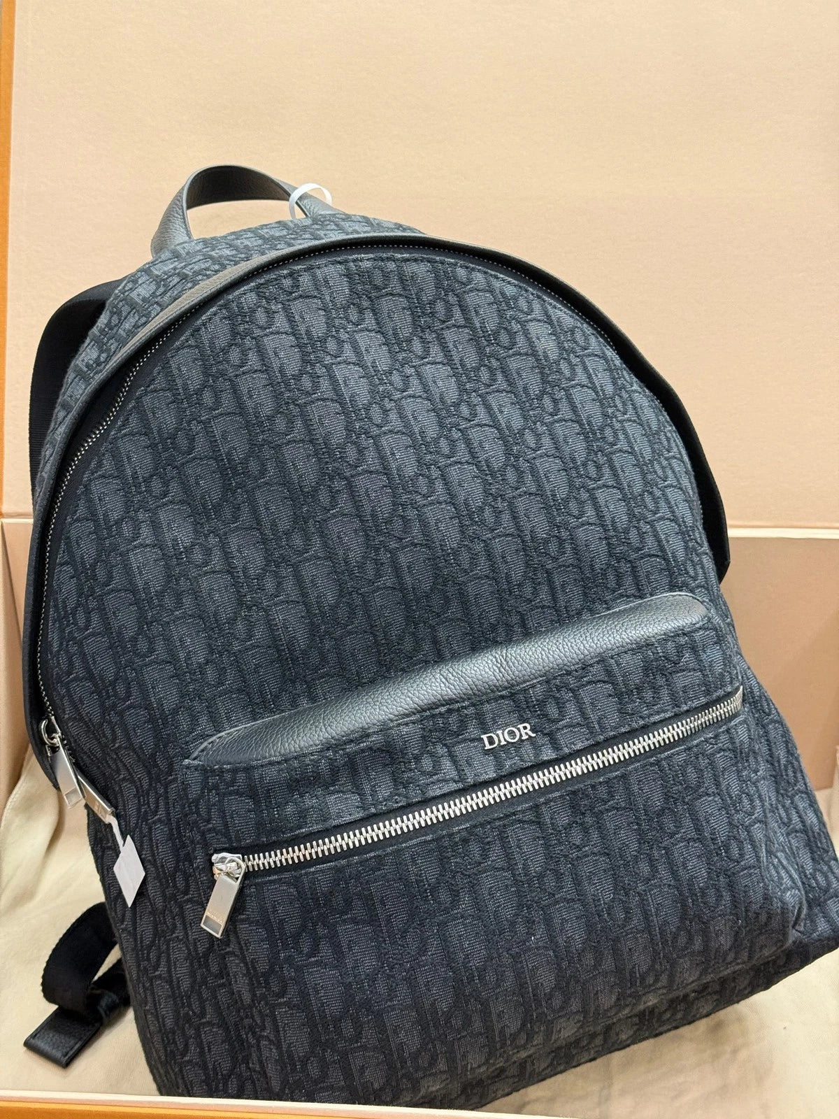 Dior Canvas Oblique Backpack For Women