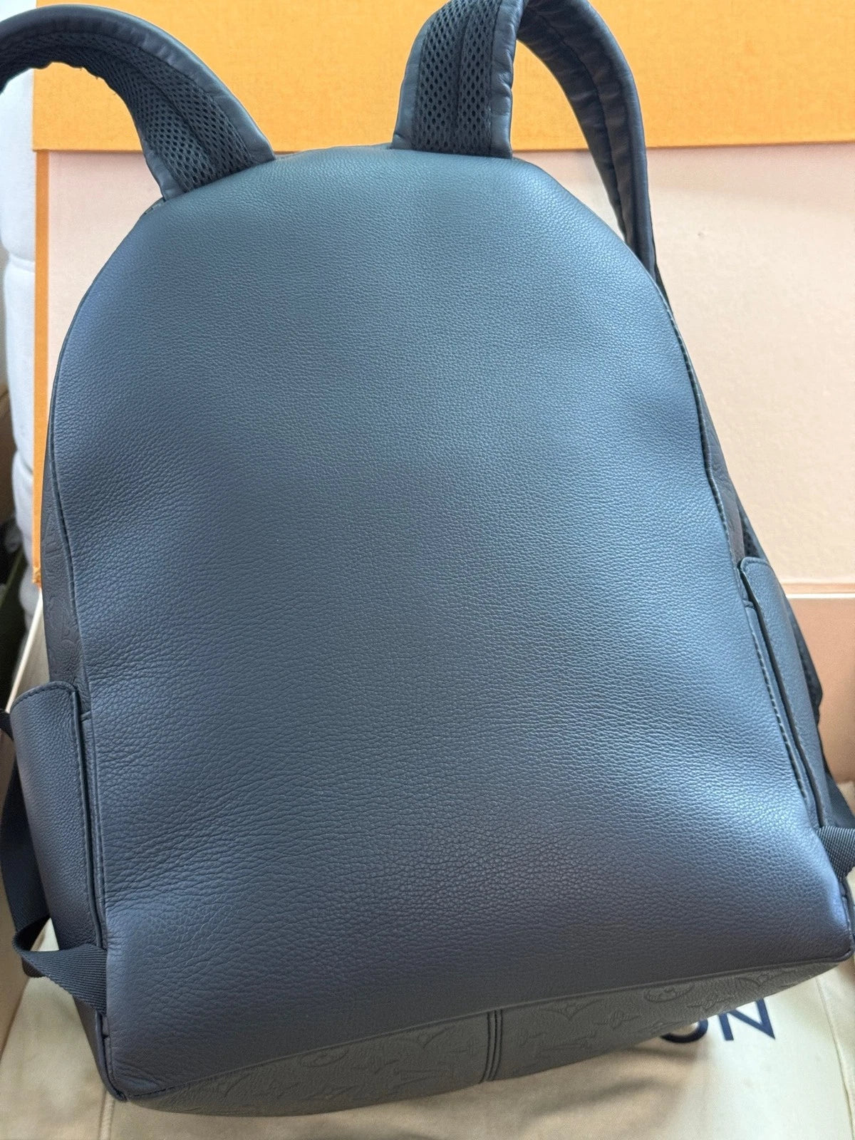 Louis Vuitton Embossed Apollo Large Backpack For Unisex