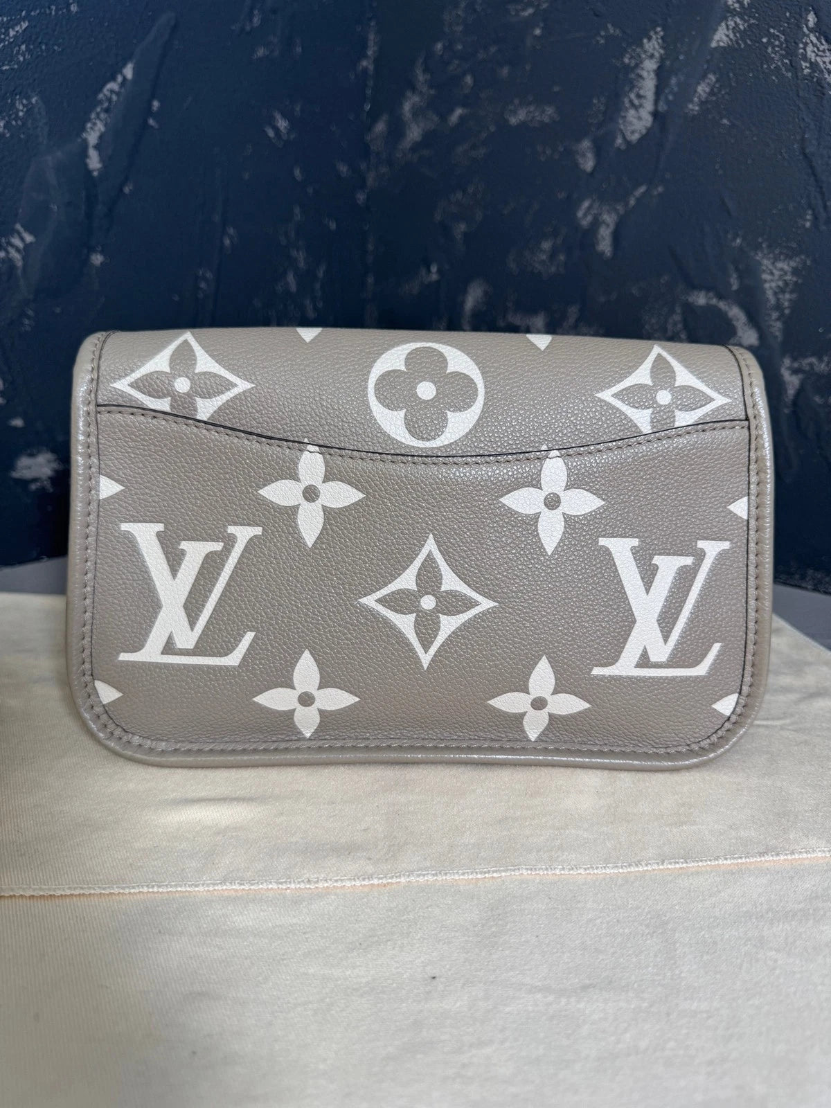 Louis Vuitton Diane Gray Leather Shoulder Bag For Women
