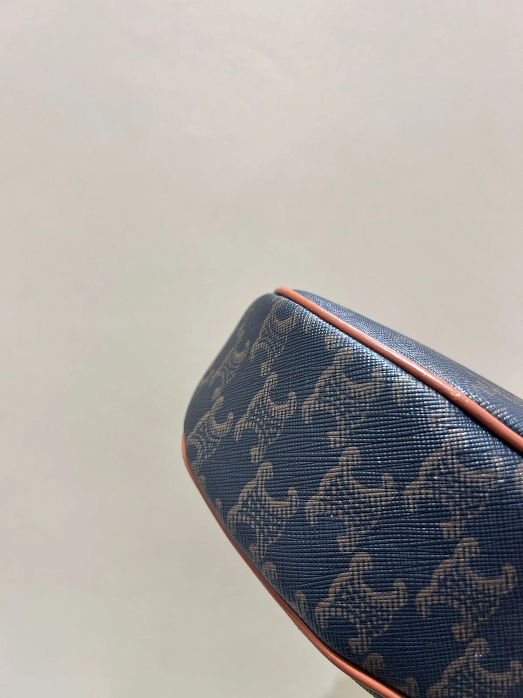 Celine AVA Triomphe Canvas Underarm Pea Shoulder Bag For Women