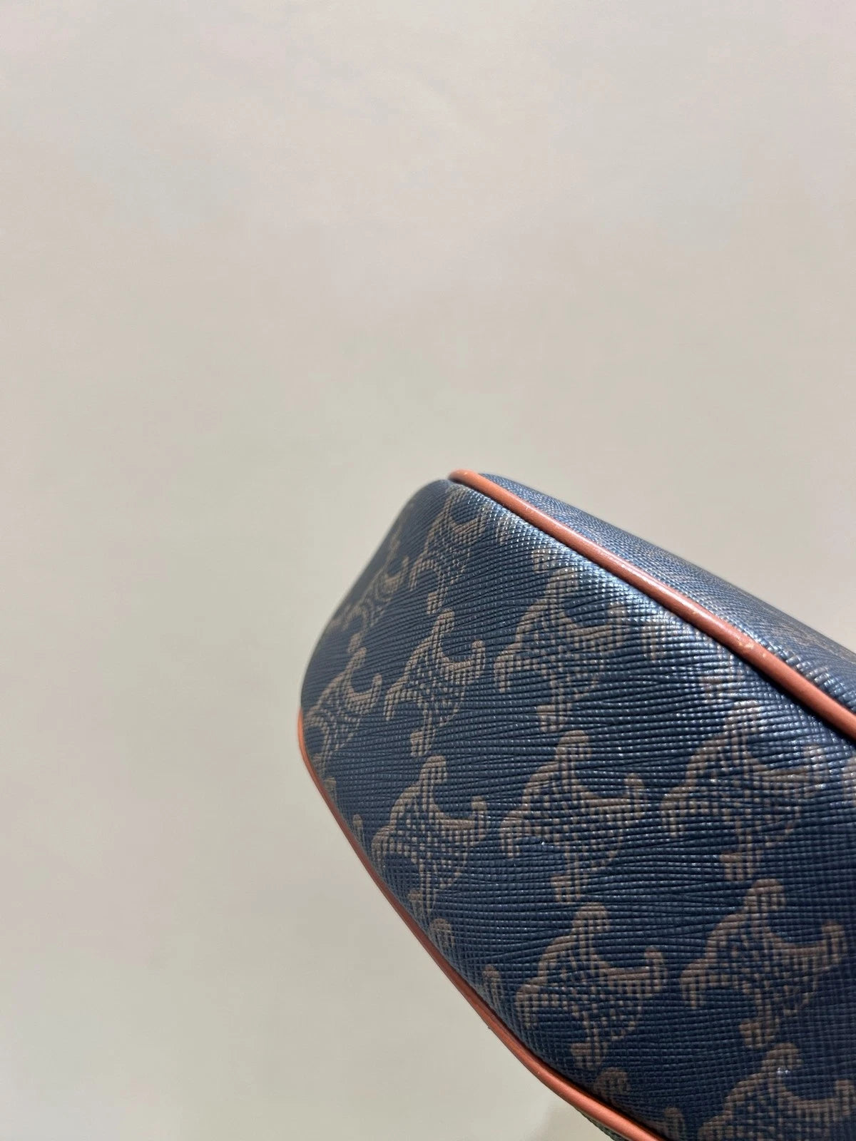 Celine AVA Triomphe Canvas Underarm Pea Shoulder Bag For Women