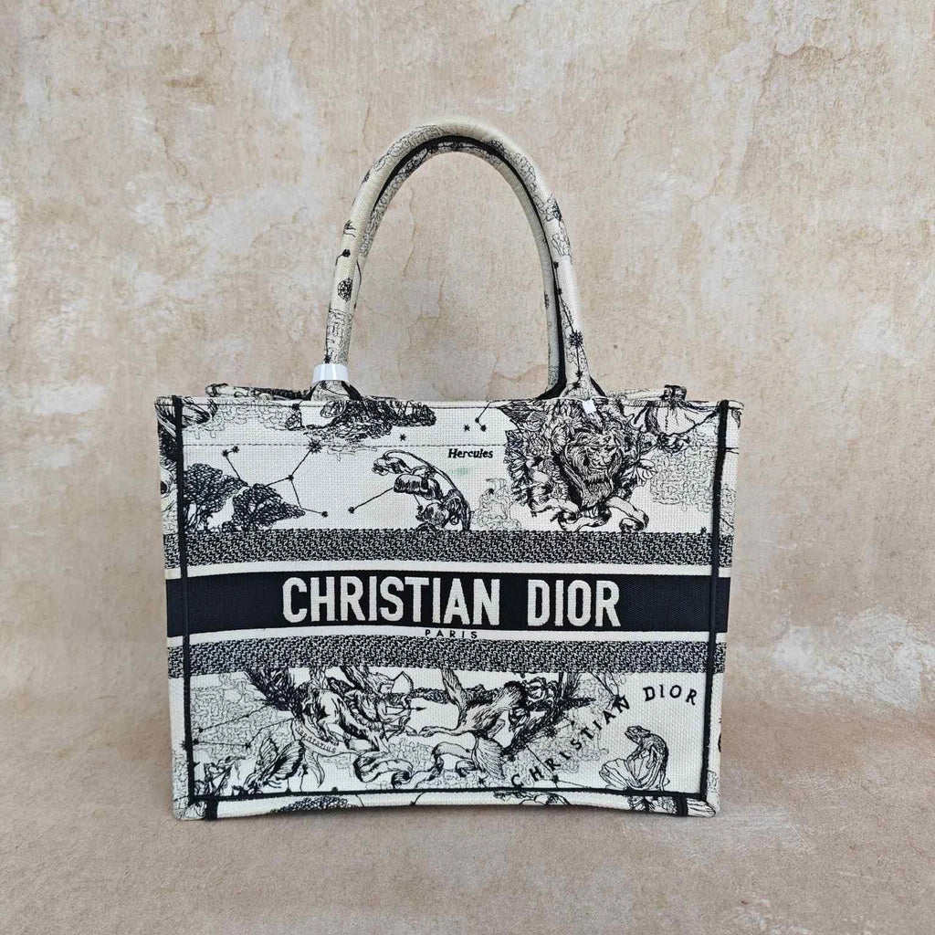 Dior Embroidered Constellation Medium Canvas Tote Handbag For Women