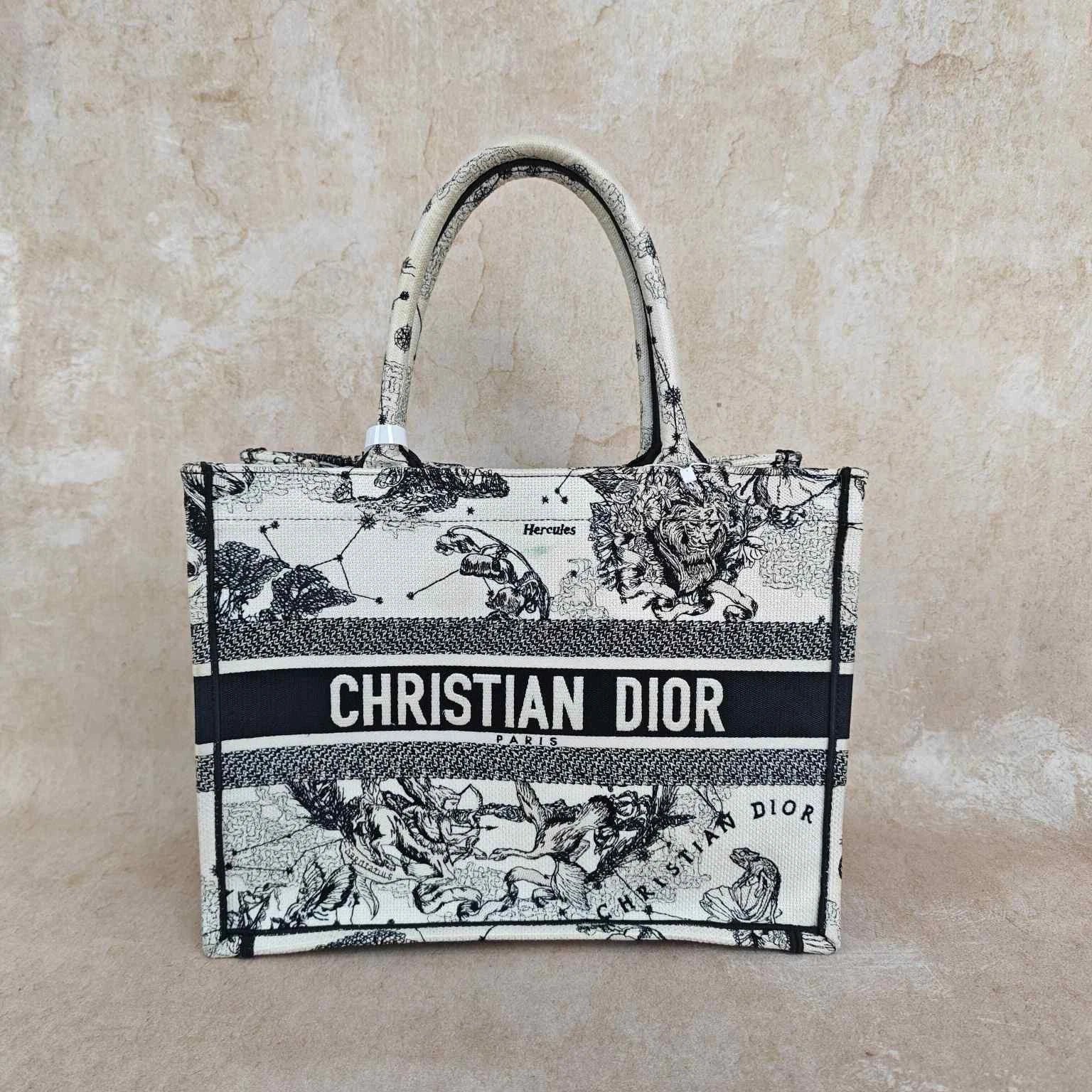Dior Embroidered Constellation Medium Canvas Tote Handbag For Women