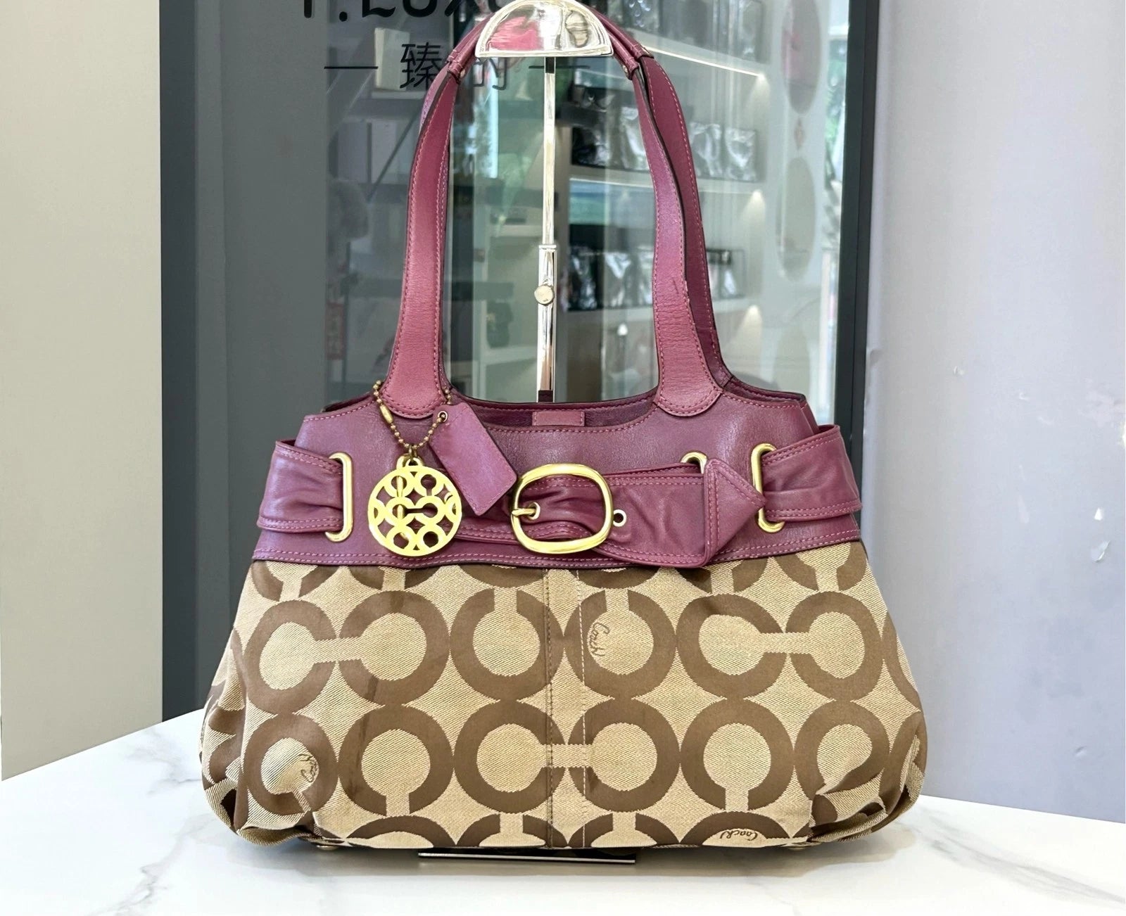 COACH Classic Print Purple Leather Cloud Shoulder Bag For Women