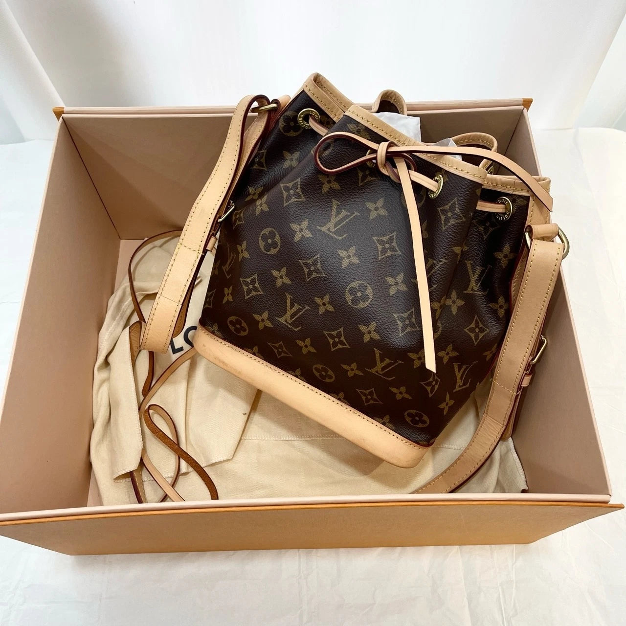 Louis Vuitton Canvas Noe BB Bucket Bag for Women