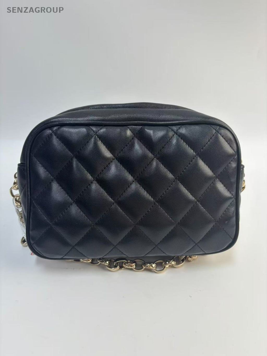 SJ0001 chanel camera bag