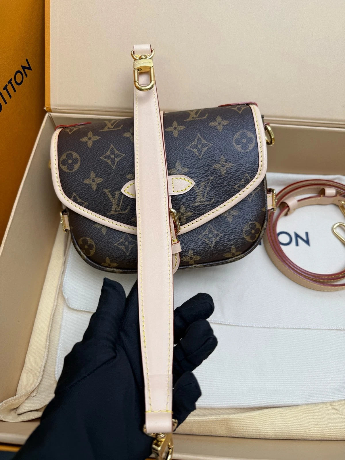 Louis Vuitton Canvas Twin Shoulder Bag For Women