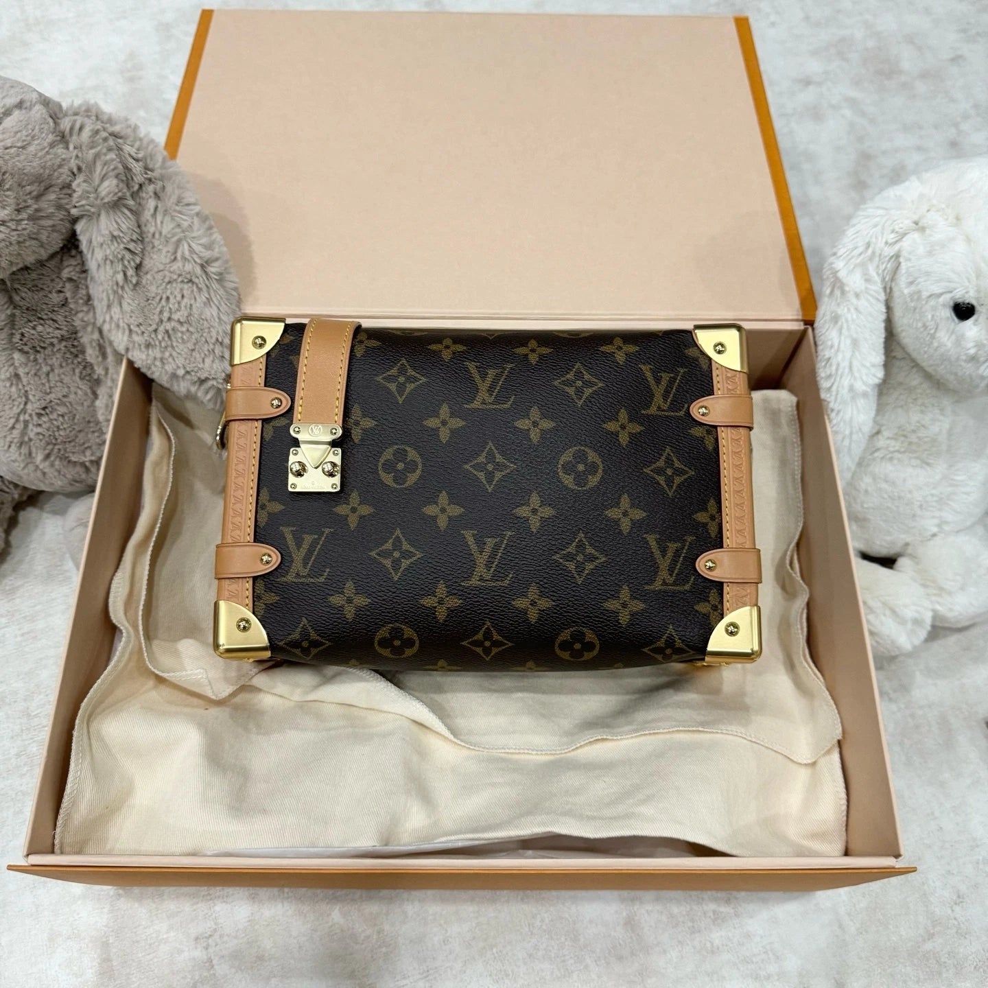 Louis Vuitton Calfskin Side Trunk MM Shoulder Bag For Women