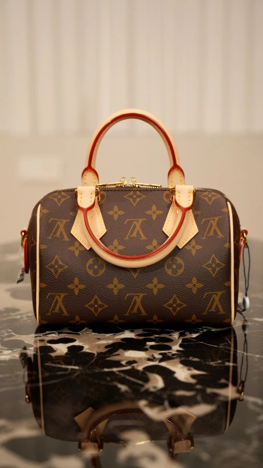 Louis Vuitton Speedy20 Monogram Canvas Excellent