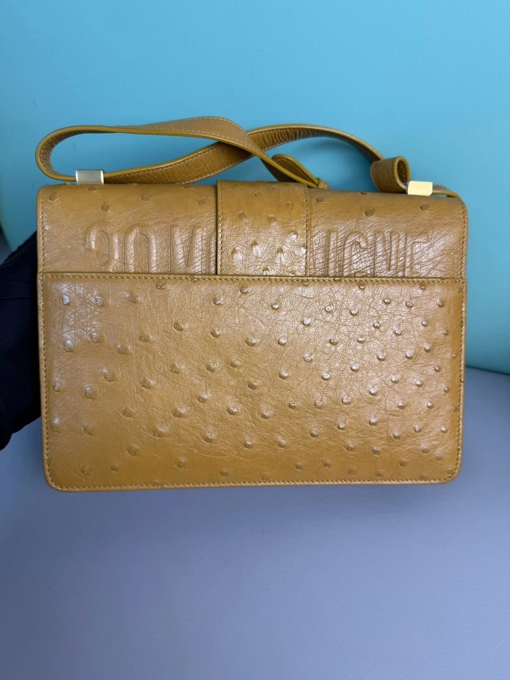 Dior Montaigne30 Ostrich Leather Top Handle Bag For Women