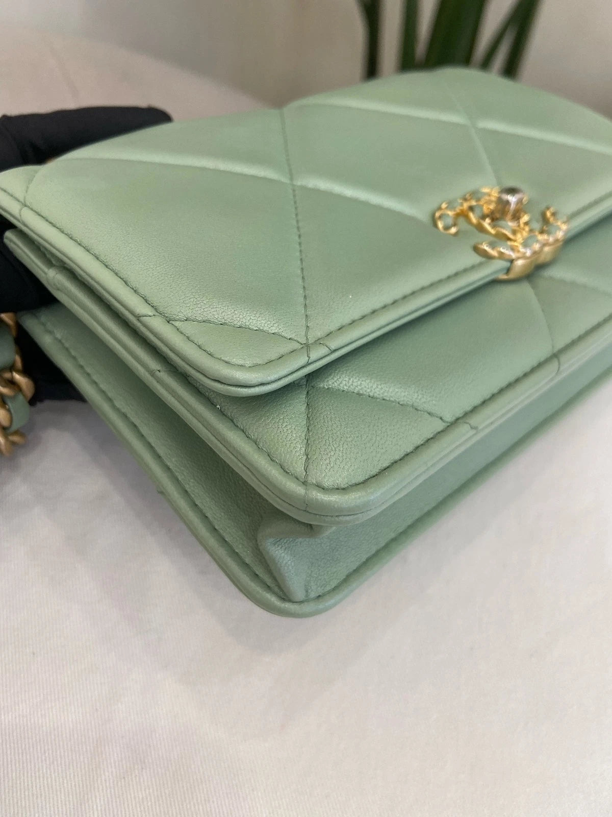 CHANEL Green Mermaid 19Bag WOC Crossbody Bag For Women