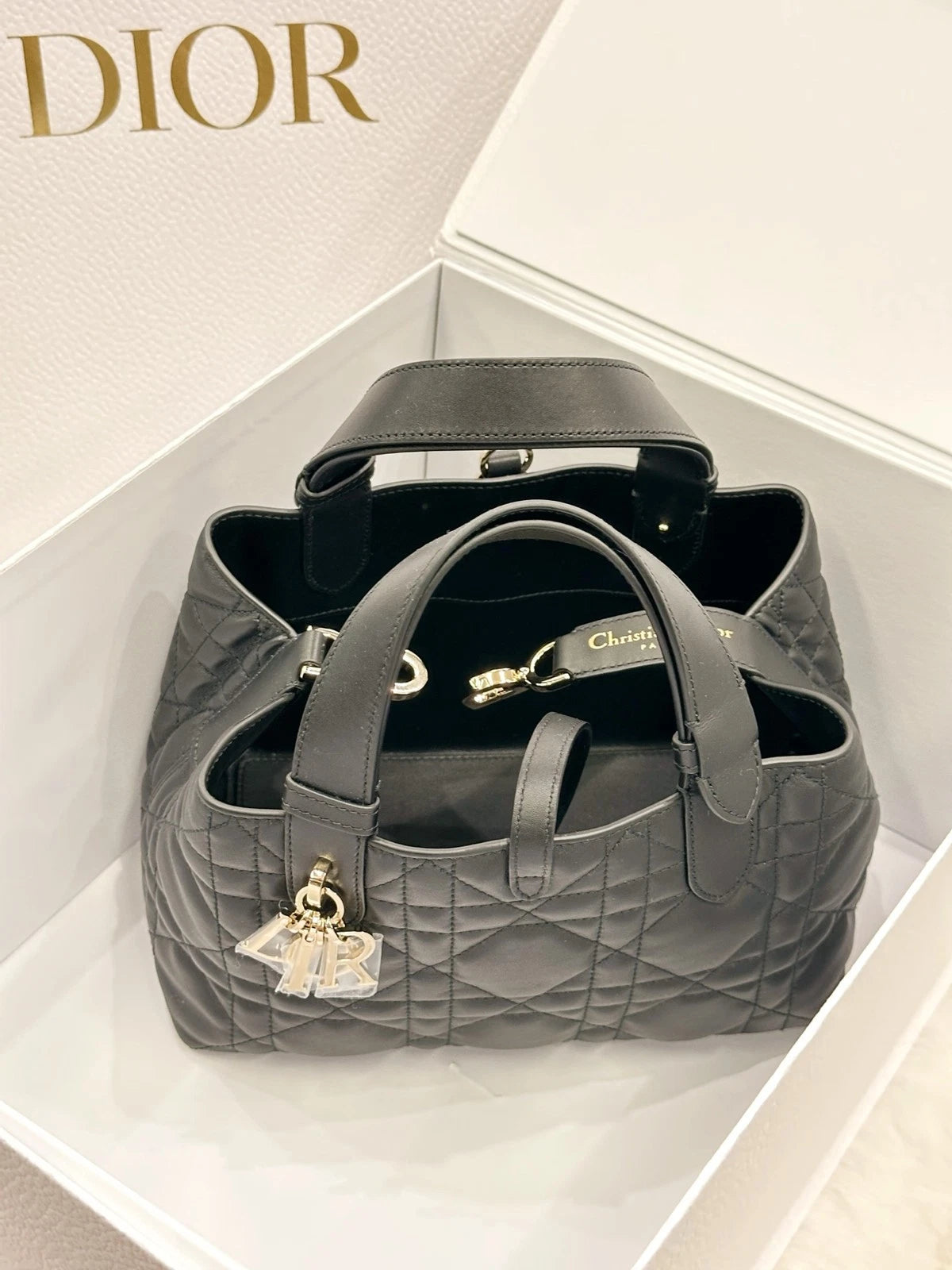 Dior Toujours Small Horizontal Black Tote Bag For Women