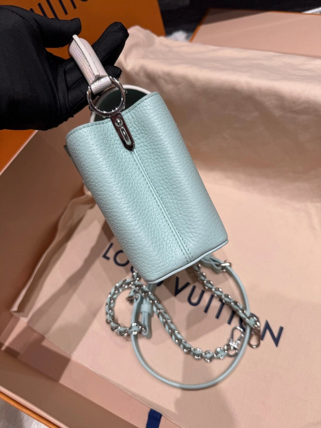 Louis Vuitton Capucines Mini Water Snake Leather Bag For Women