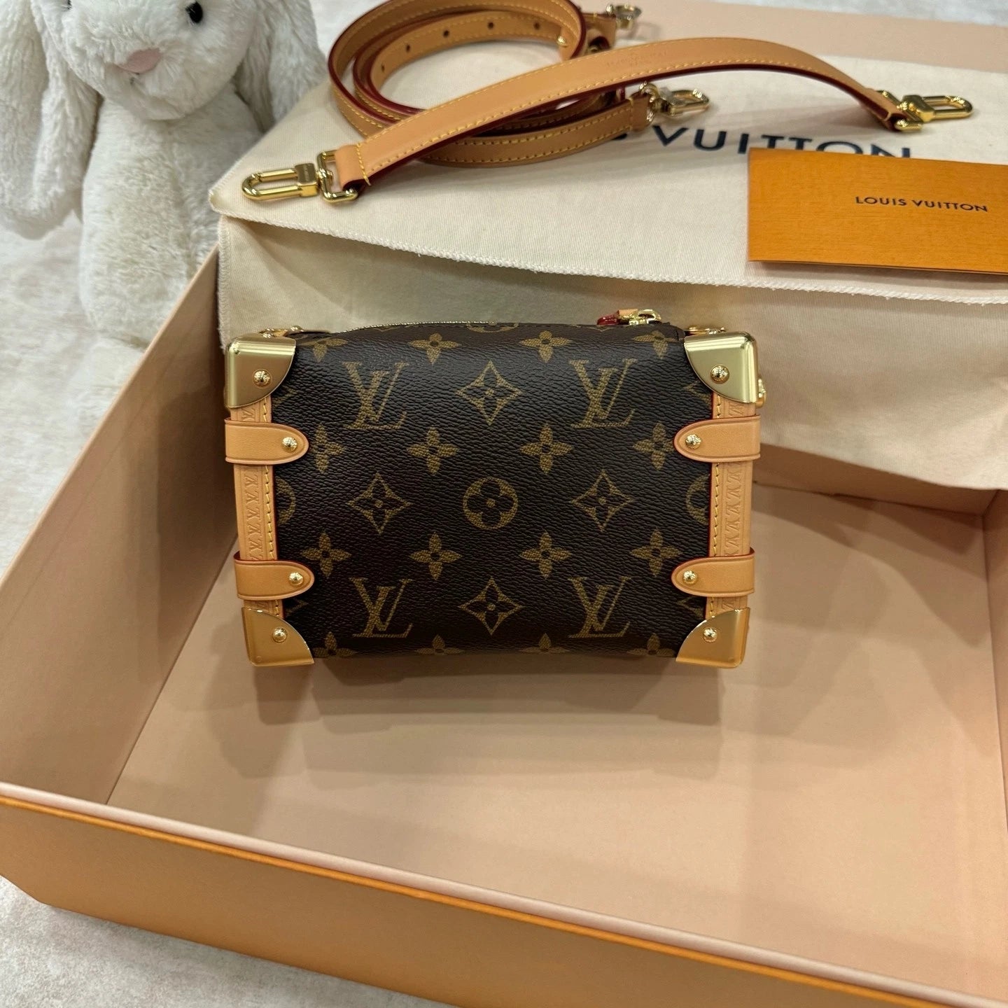 Louis Vuitton Canvas Small Side Trunk Crossbody Handbag For Women