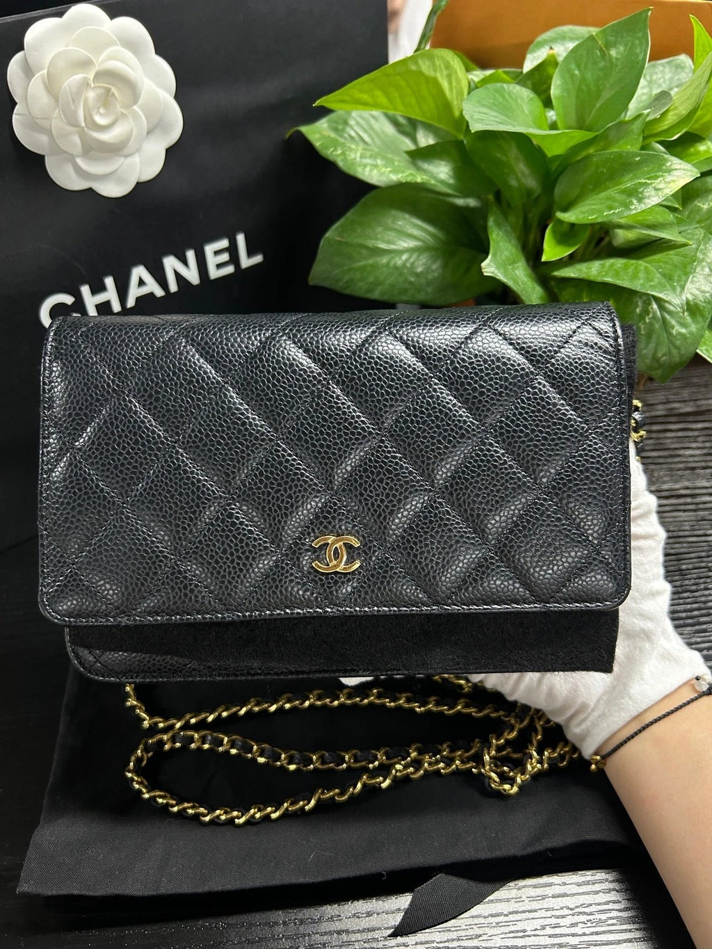 Chanel WOC Chain Shoulder Bag Black Gold Diamond Women Classic