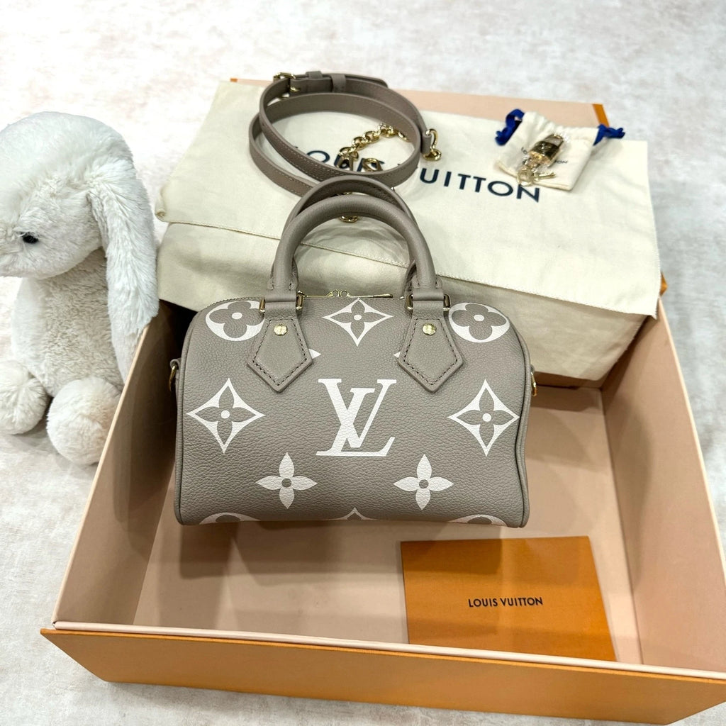Louis Vuitton Speedy 20 Canvas Gray Handbag Top Handle Excellent