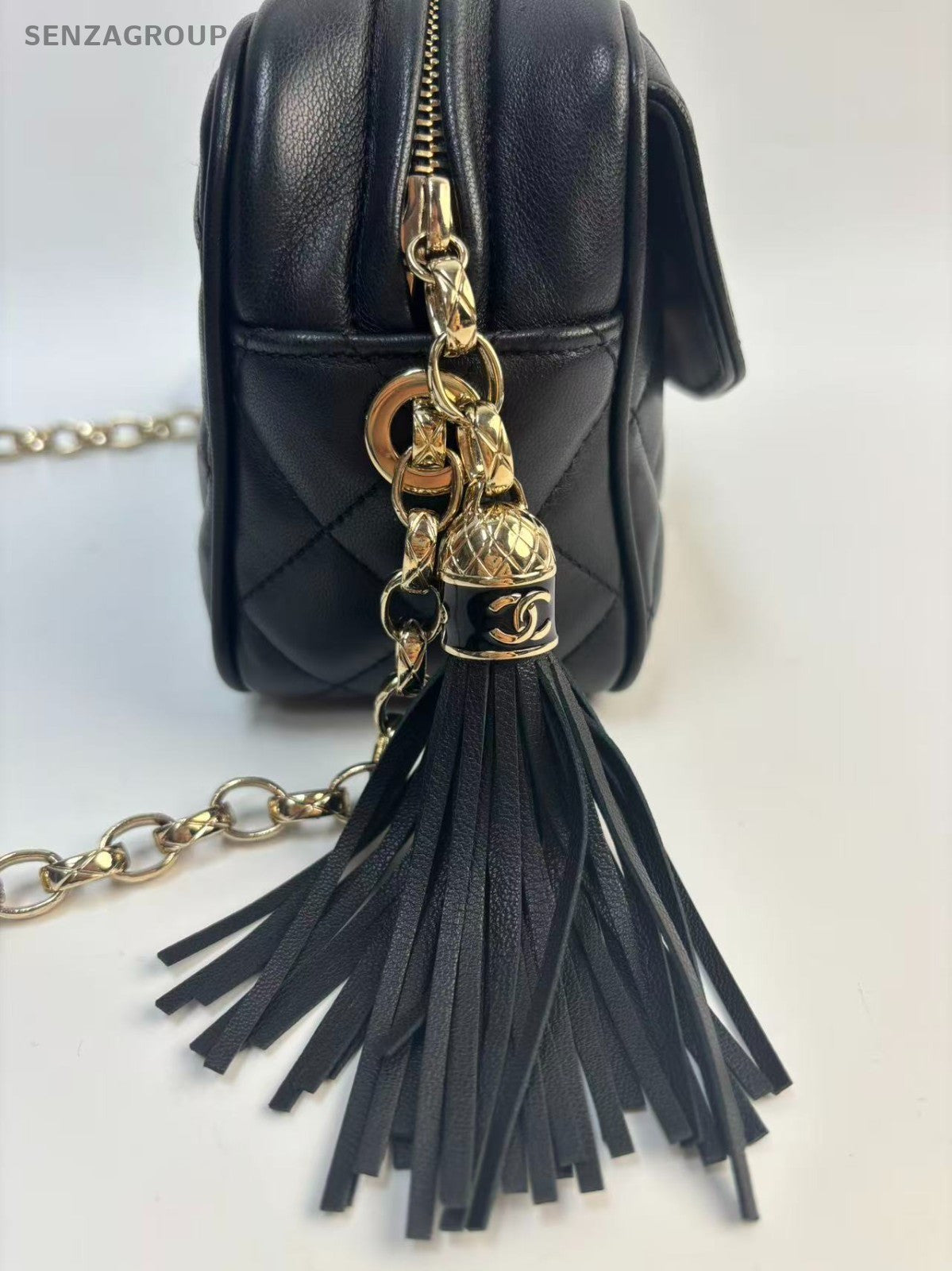 SJ0001 chanel camera bag