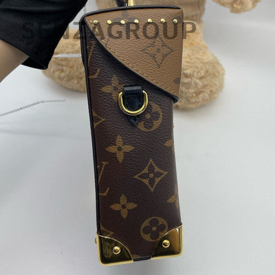 Louis Vuitton Camera Box Bag Brown Black Women's Classic Shoulder Crossbody