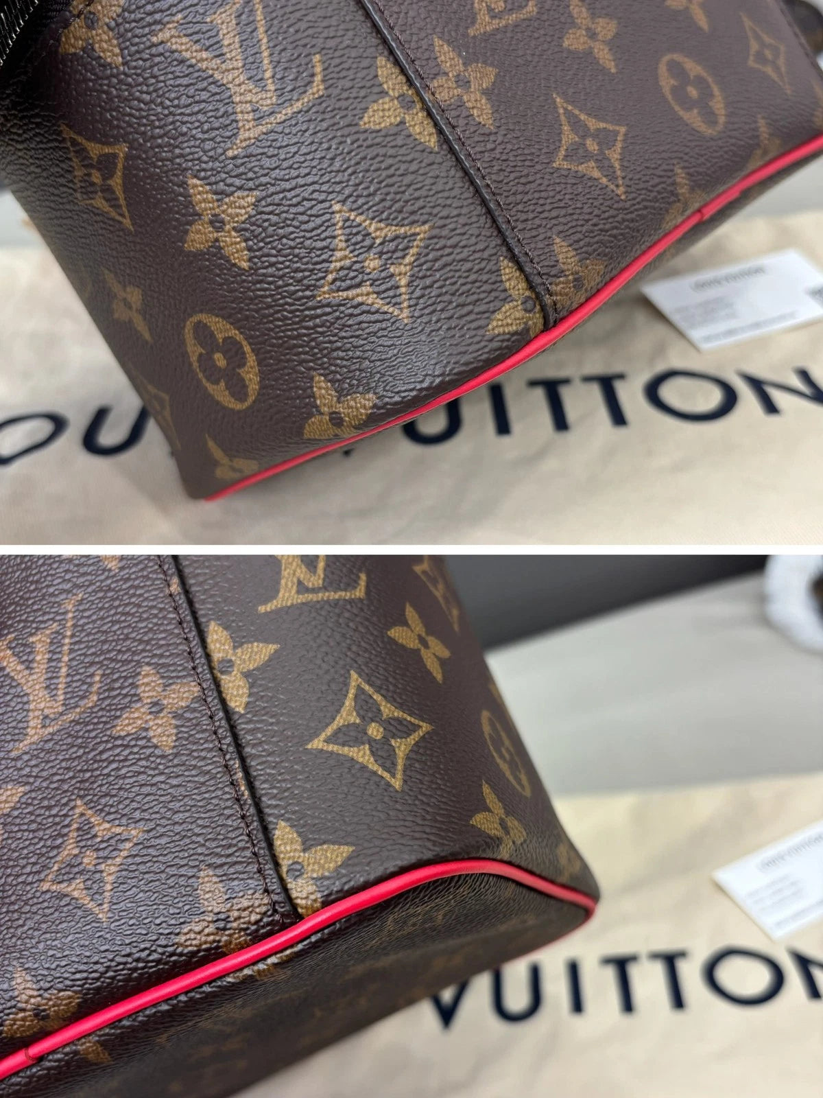Louis Vuitton Nice Vanity Case Top Handle Bag Brown Silver Women Classic