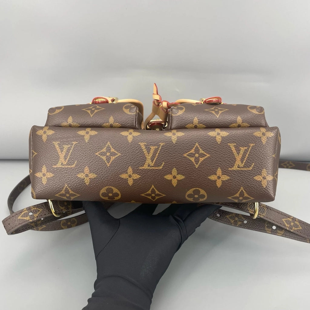 Louis Vuitton Canvas Frog Shoulder Bag For Women