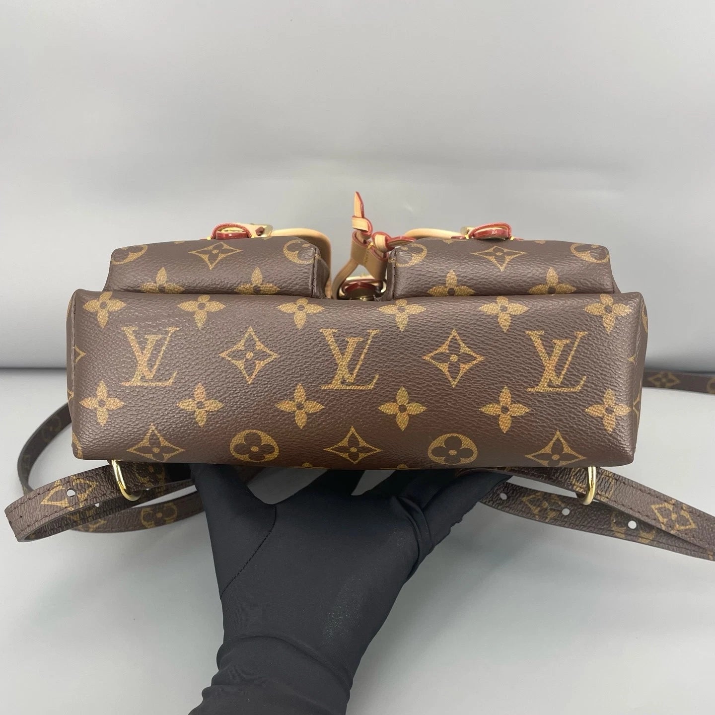 Louis Vuitton Canvas Frog Shoulder Bag For Women