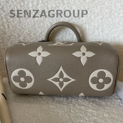 Louis Vuitton Speedy Nano Leather Handbag Shoulder Bag Grey Gold