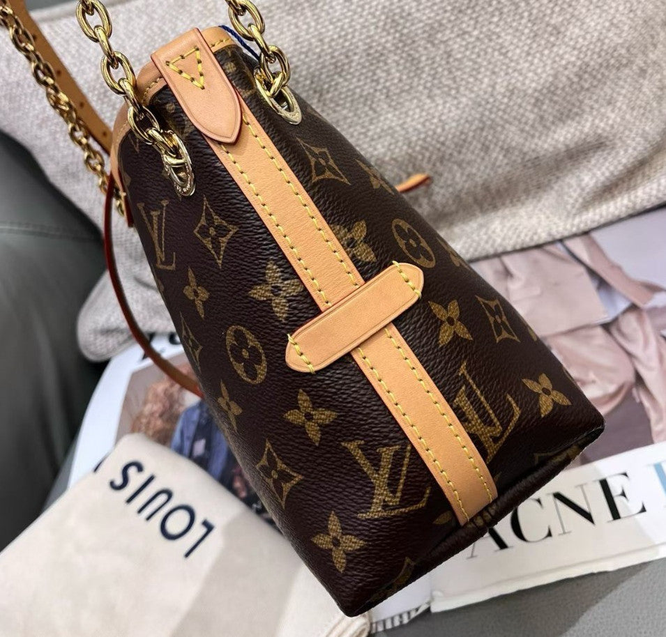 Louis Vuitton Carryall BB Monogram Canvas Chain Shoulder Bag Crossbody Women